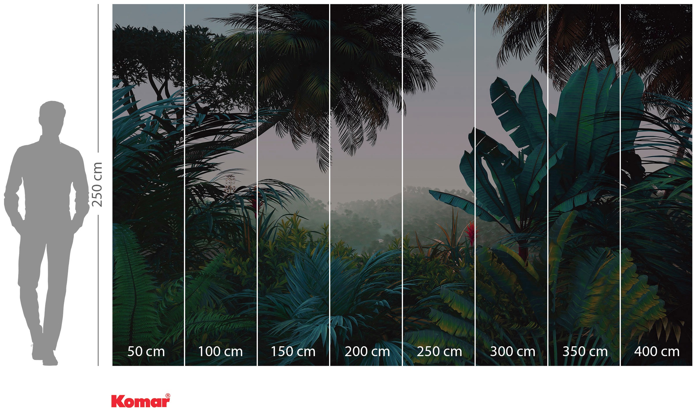 Komar Papier peint intissé »Digitaldruck Vlies -  Jungle Morning - Grösse 400 x 250 cm« imprimé lisse salon, chambre à coucher