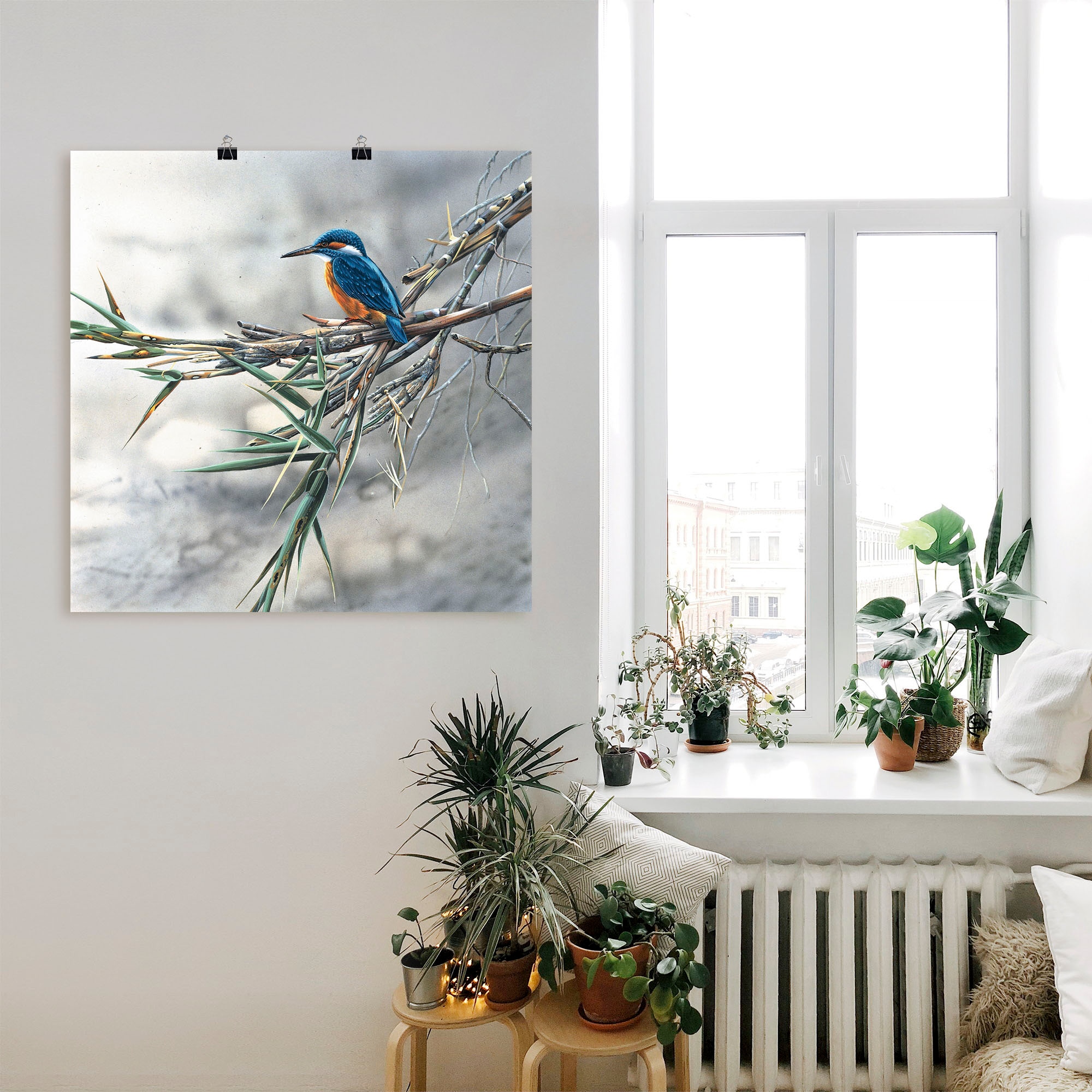 Artland Wandbild »Eisvogel I« Vögel 1 Stk. tlg. als Leinwandbild, Poster in verschied. Grössen