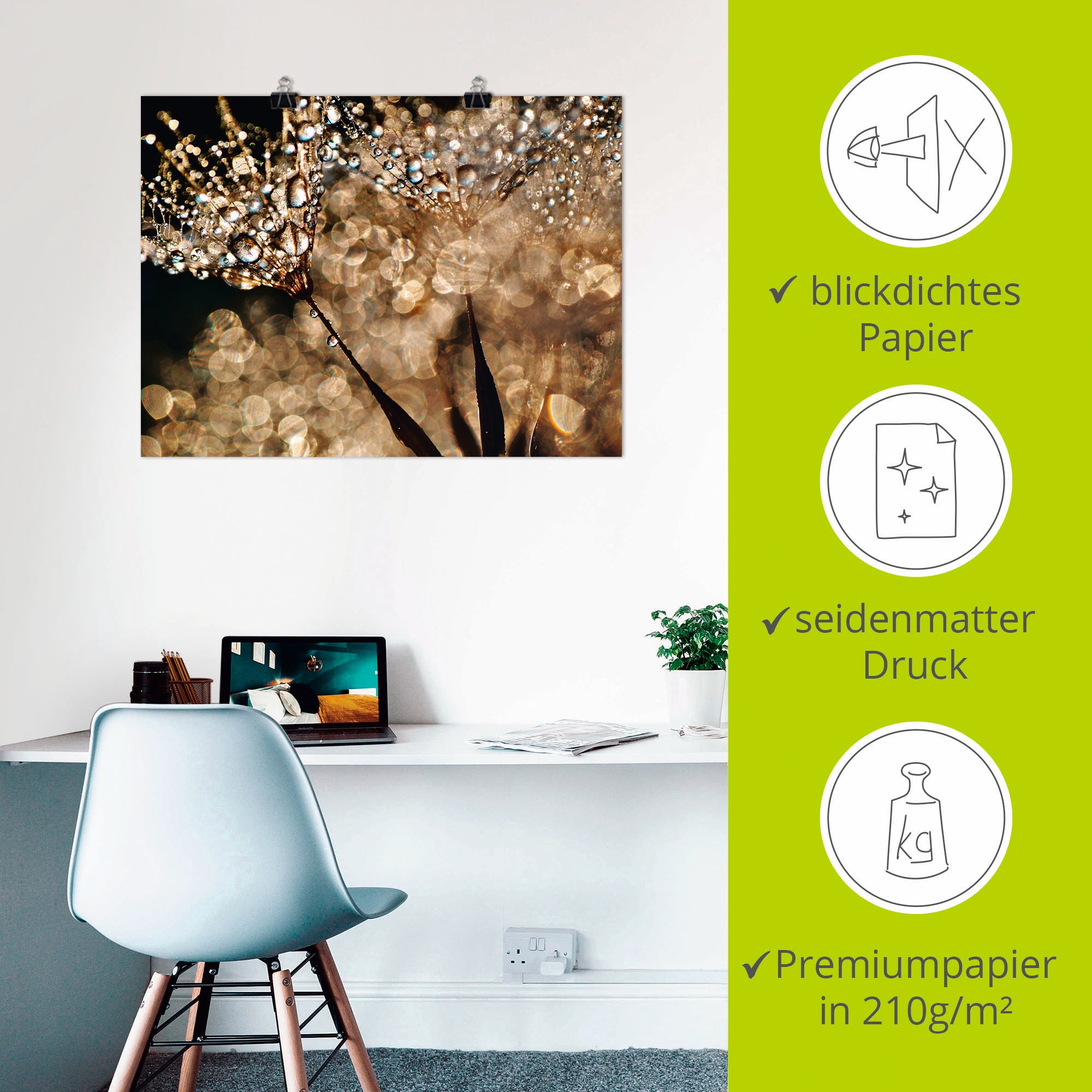 Artland Wandbild »Pusteblume Goldschimmer« Blumen 1 Stk. tlg. als Alubild, Leinwandbild, Poster in verschied. Grössen