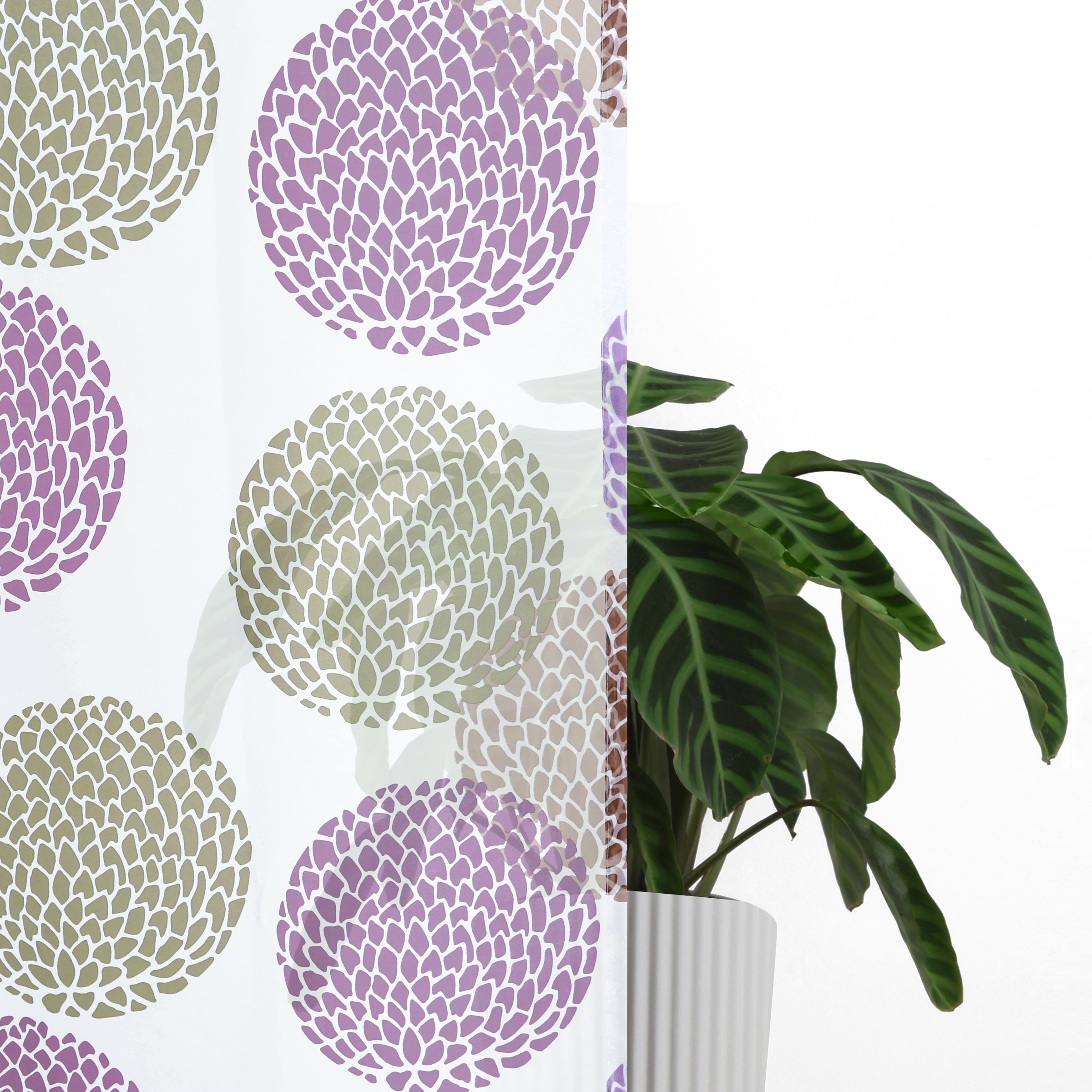 my home Gardine »BELEM« Ösen 1 Stk. tlg. 1 Schal, Polyester, Kreise