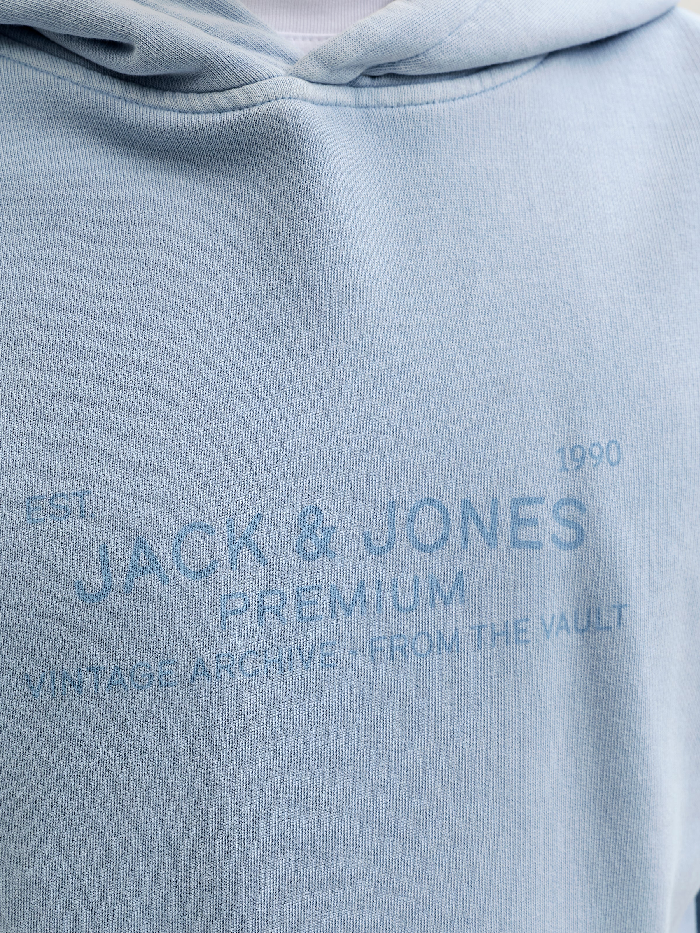 Jack & Jones Sweat à capuche »JPRBLUAIDEN HOOD SWEAT«, Baumwolle, regular fit
