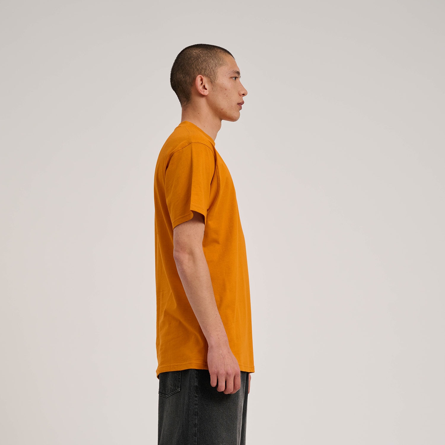 Santa Cruz T-Shirt »WOODLAND MINI STRIP FRONT T-SHIRT«