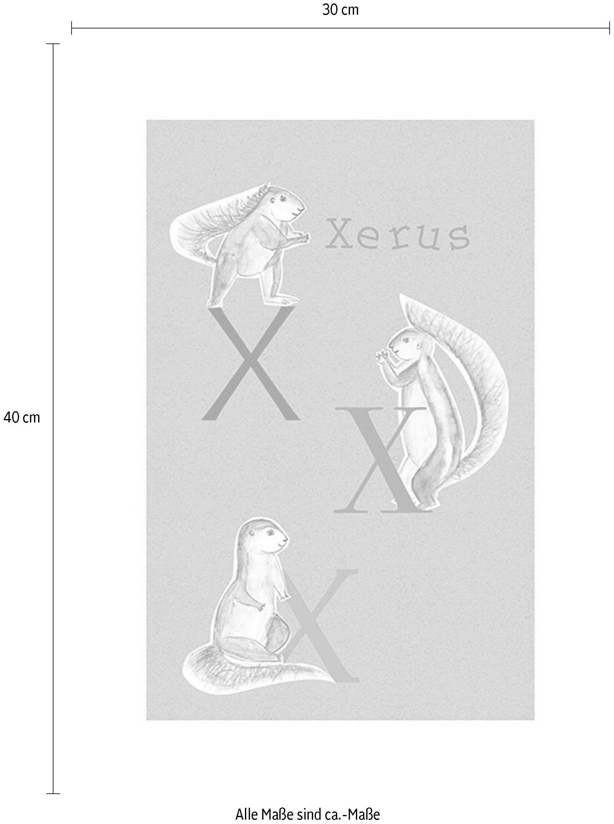 Komar Bild »ABC Animal X« Buchstaben 1 Stk. tlg. Wandbild zur Dekoration - ohne Rahmen