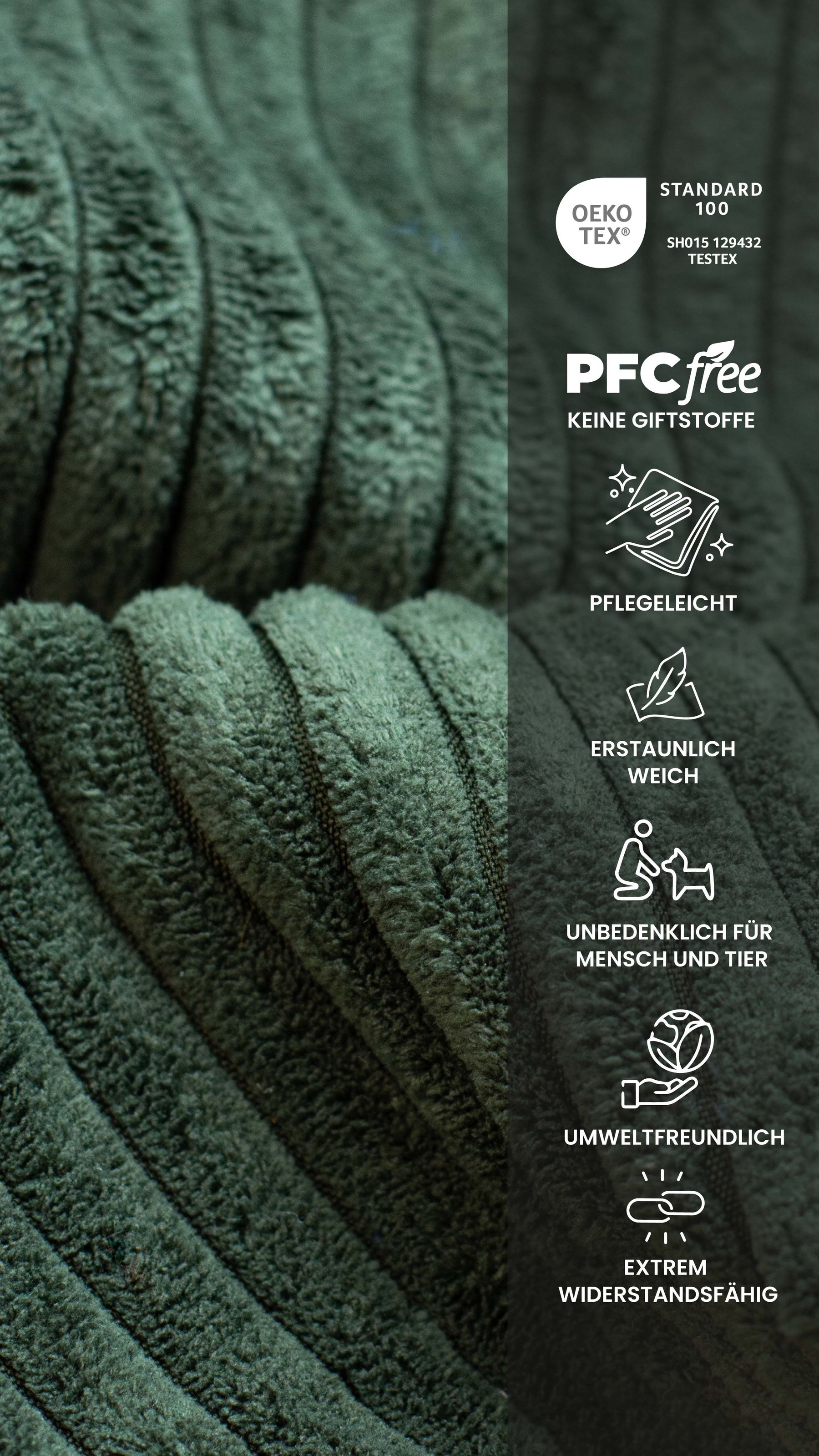 HELA Esszimmerstuhl »Dagmar« (Set) 1 Stk.Schwingstuhl mit bequemer Federkern Polsterung,  Cord Bezug