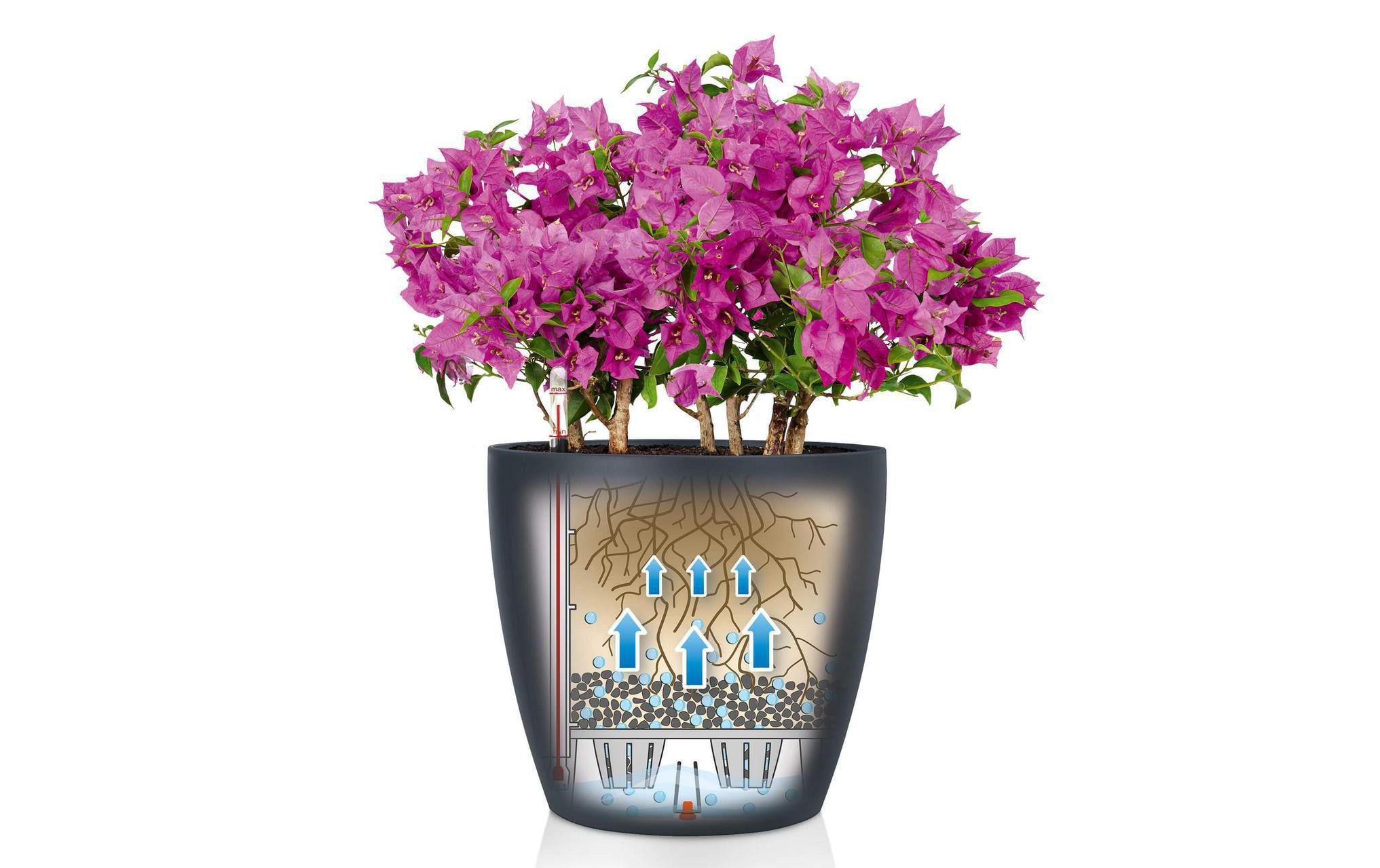   Blumentopf »Lechuza CLASSICO Color 43 Braun«