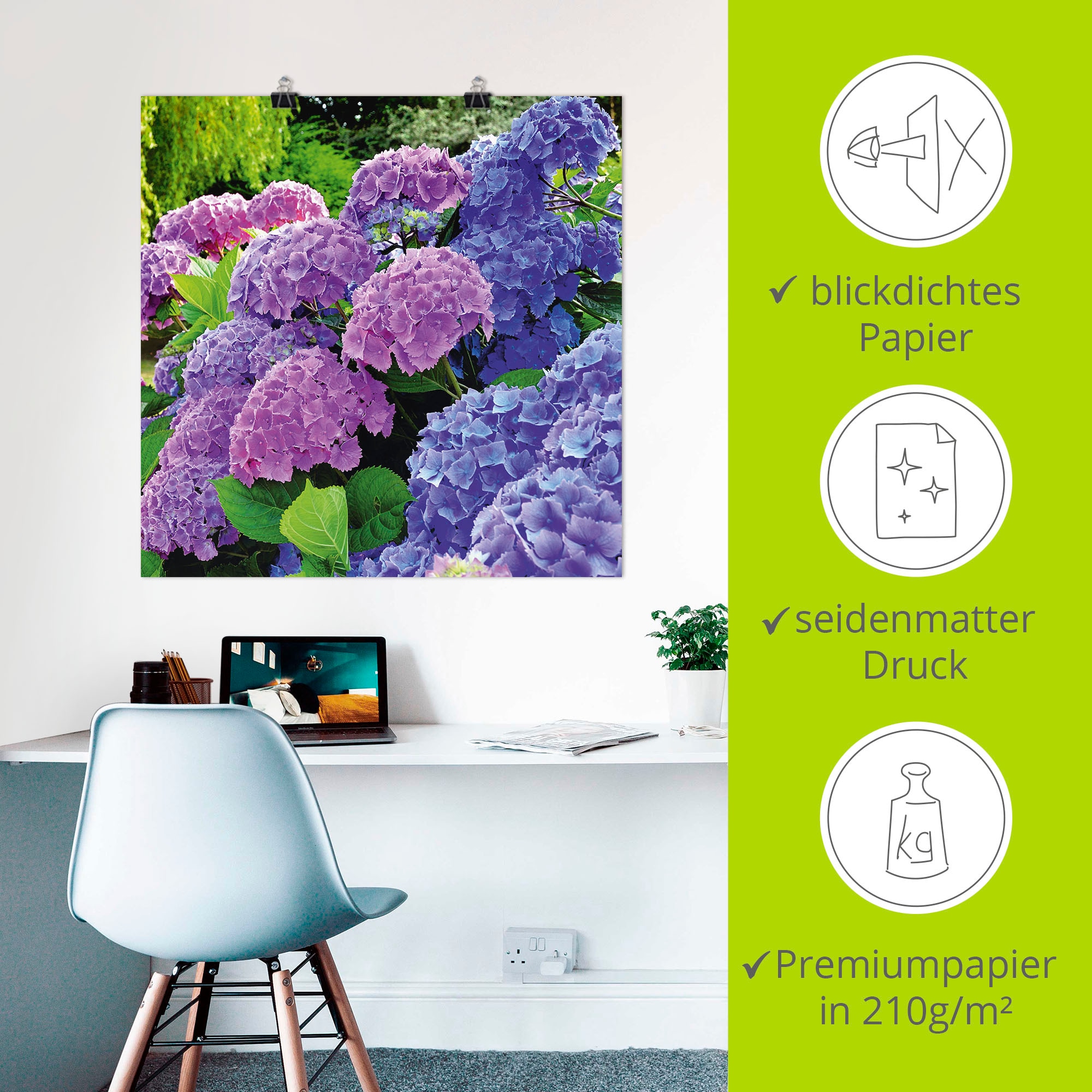 Artland Wandbild »Hortensien im Garten« Blumen 1 Stk. tlg. als Alubild, Leinwandbild, Poster in verschied. Grössen