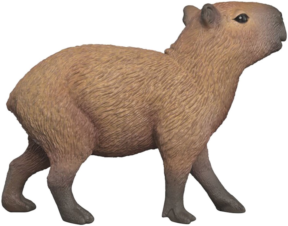Schleich® Personnage de jeu »WILD LIFE, Capybara (14934)«