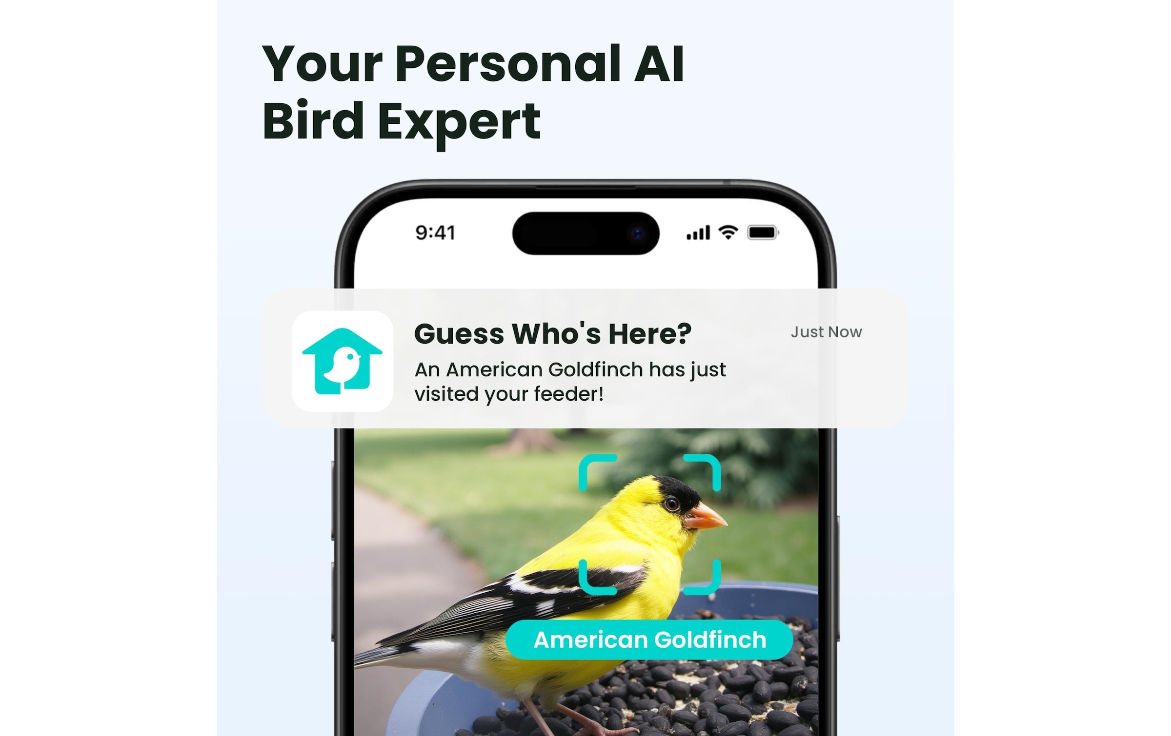   Vogelhaus »mit Kamera 60 fps 1080p« Smartes Vogelhaus mit HD Kamera mit AI Erkennung