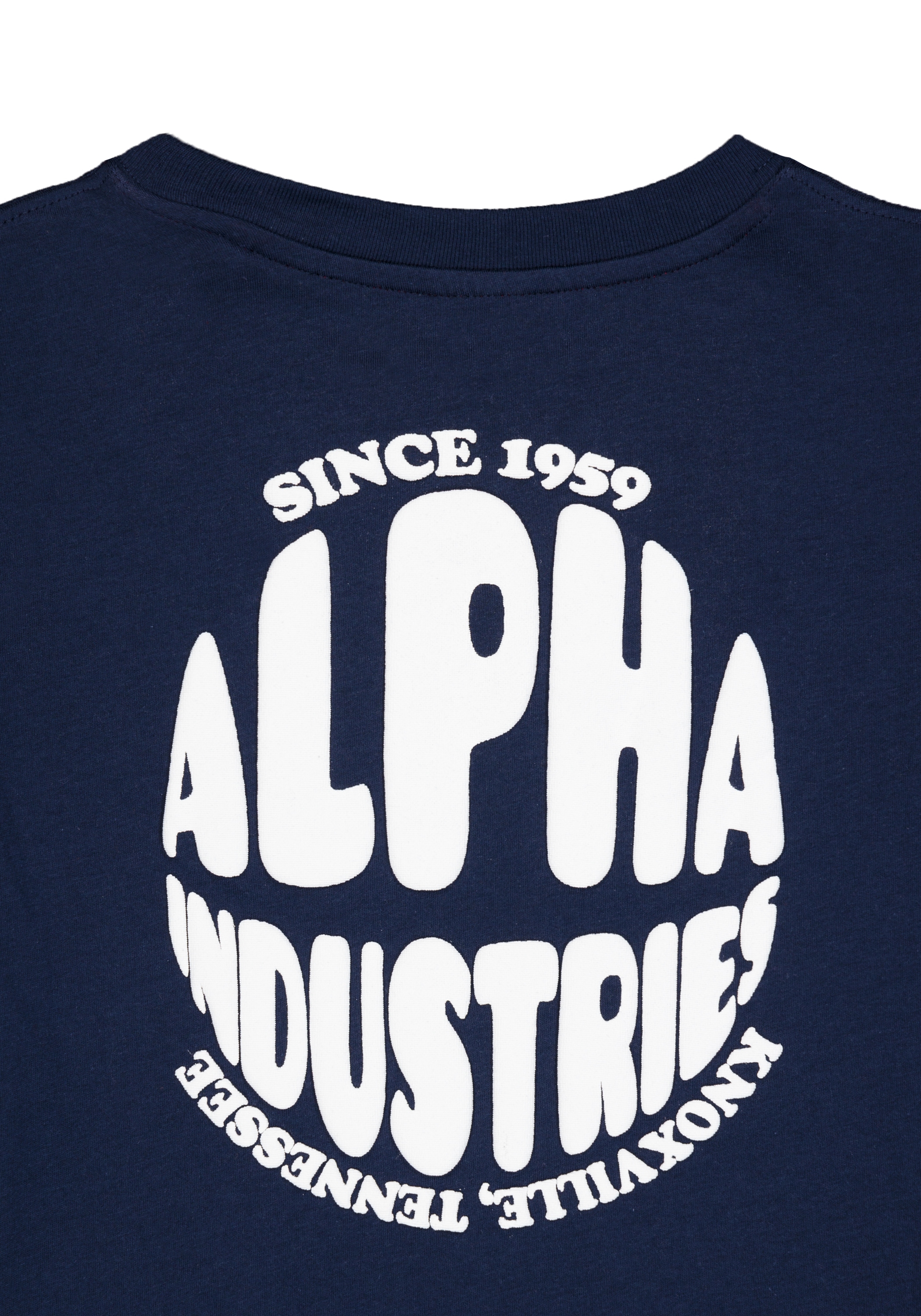 Alpha Industries T-Shirt »Logo Backprint T-Shirt K«
