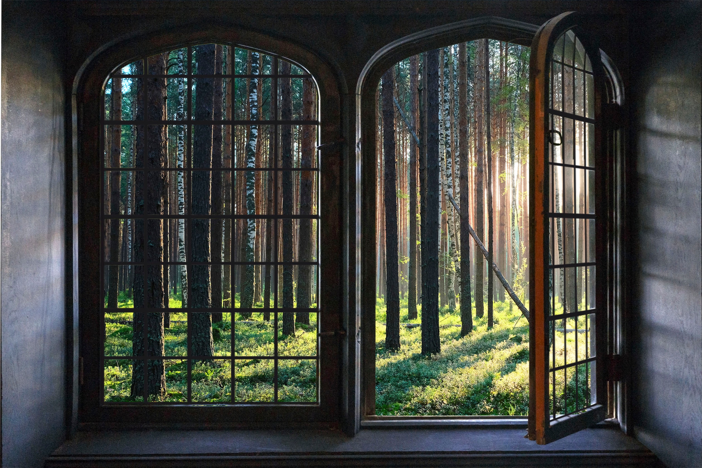 queence Wandsticker »Wald« Wandsticker, Wandbild, selbstklebend, 3D, Fenster