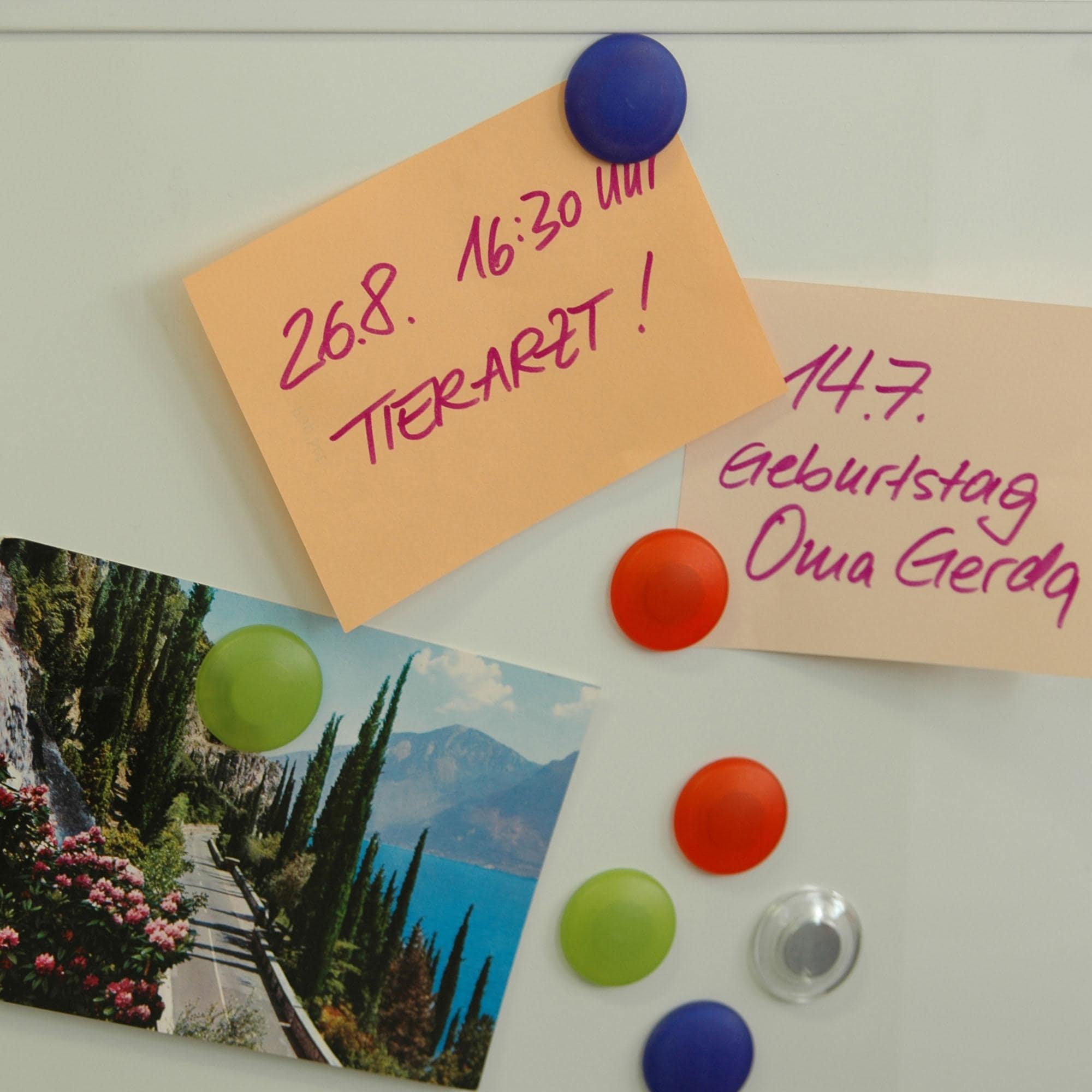 Liedeco Aimant de décoration für metallische Flächen