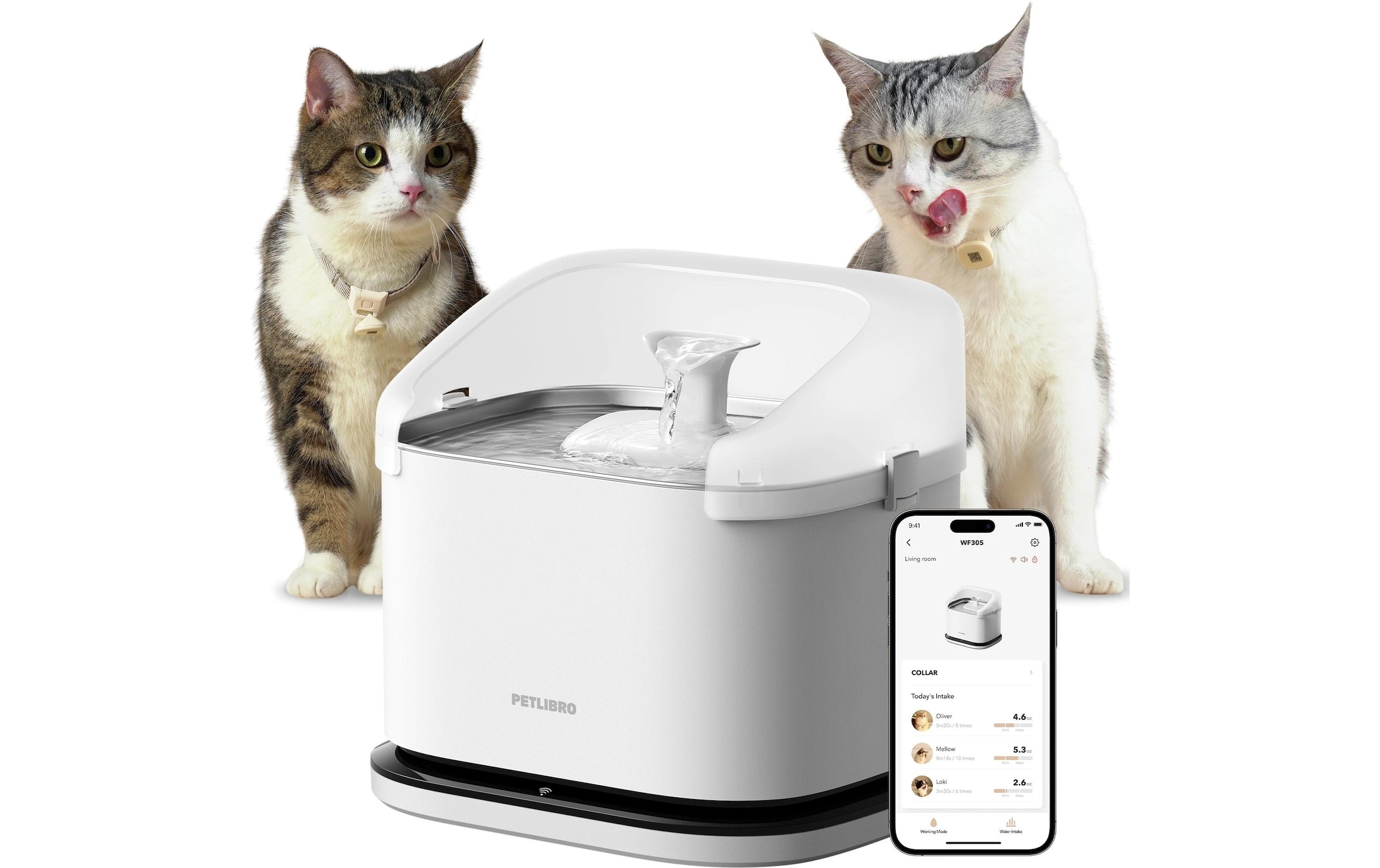   Trinkbrunnen »Petlibro Dockstream RFID Smart Fountain 3 l« Automatischer Trinkbrunnen