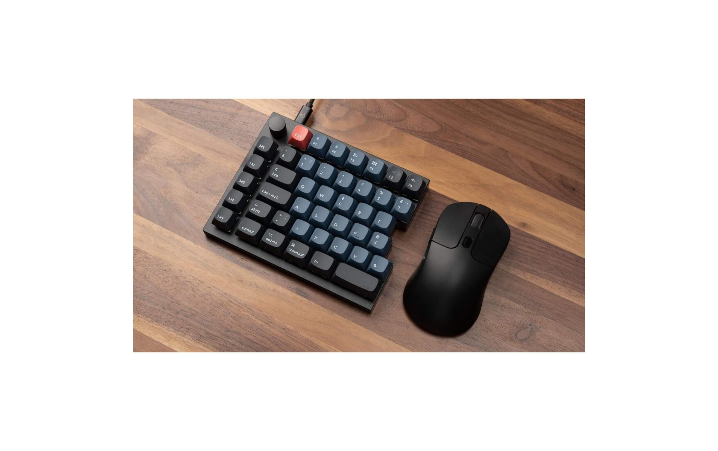   Clavier de jeu »Keychron Q11 Black QMK Brown Switch« ()