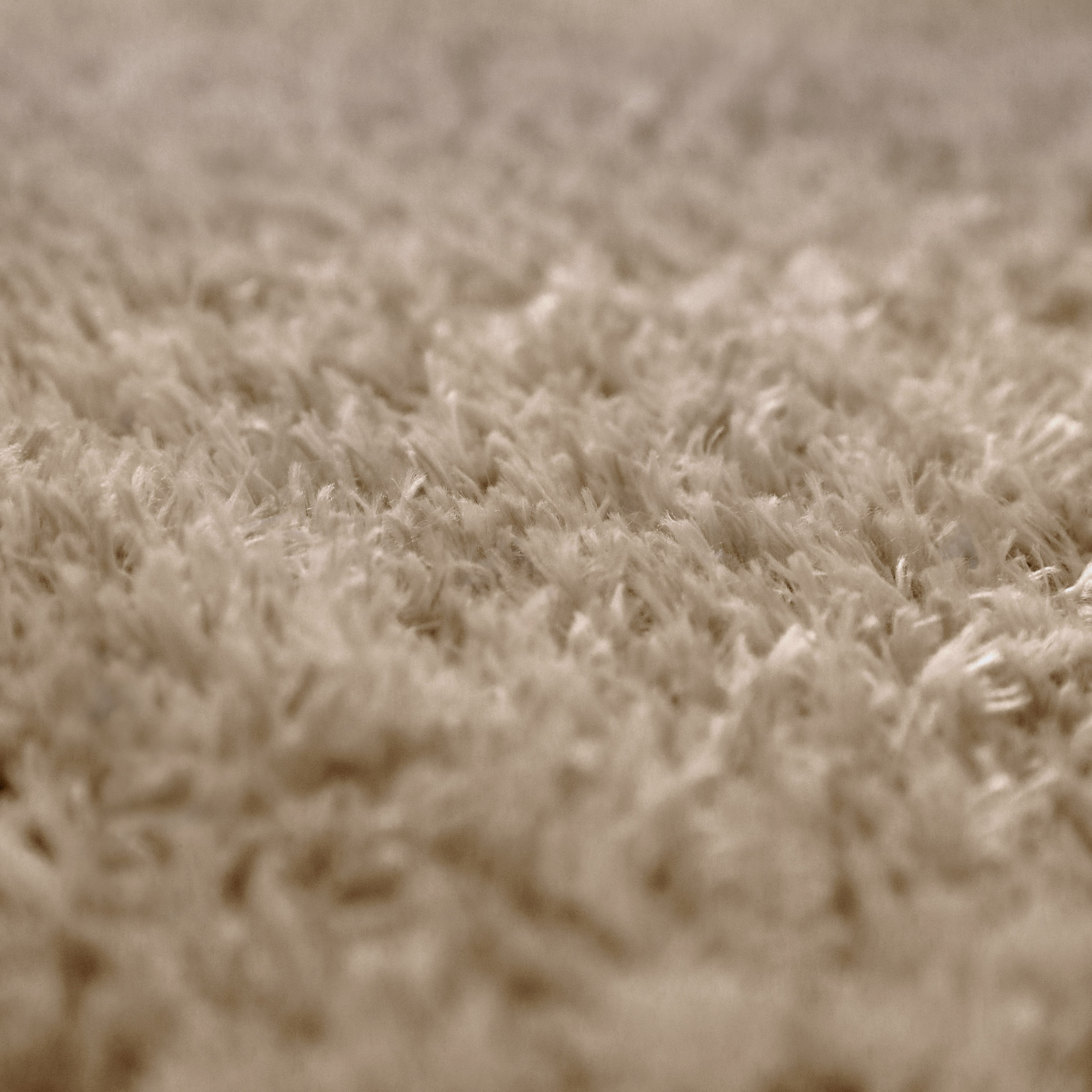 GOODproduct Tapis à poils longs »Josetta , auch als Läufer erhältlich« Rectangulaire 50 mm Höhe Langflor, Shaggy, dichter weicher Hochflor, uni farben, Wohnzimmer