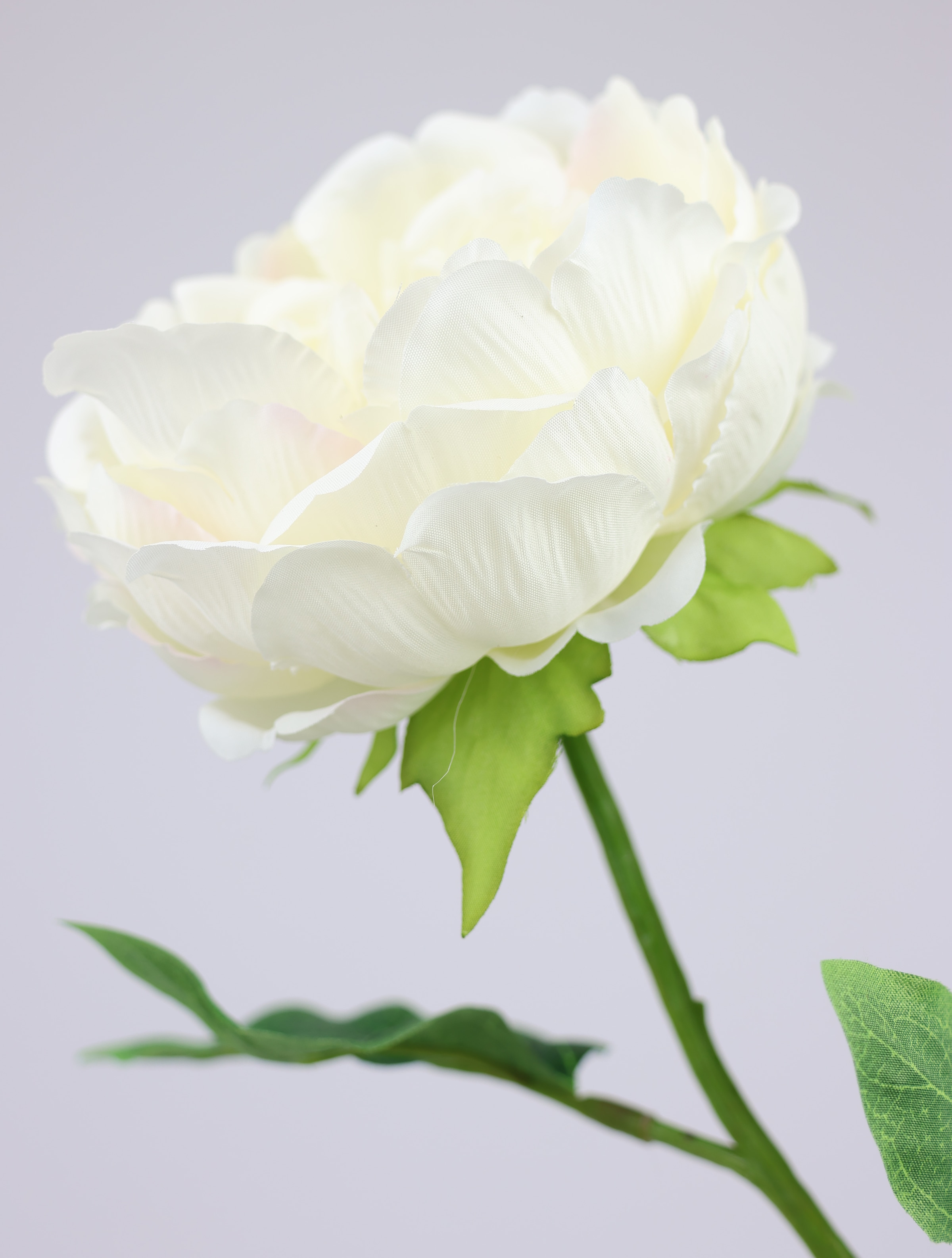 I.GE.A. Kunstblume »Päonie Bauernrose« Pfingstrosen Einzelblume, 3er Set