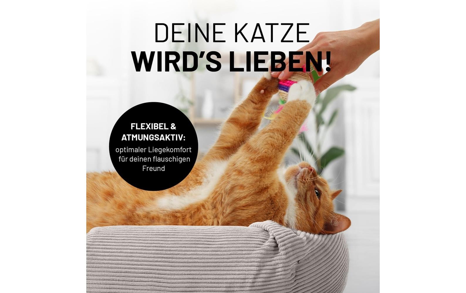 Lumaland Lit pour animal »Cord«