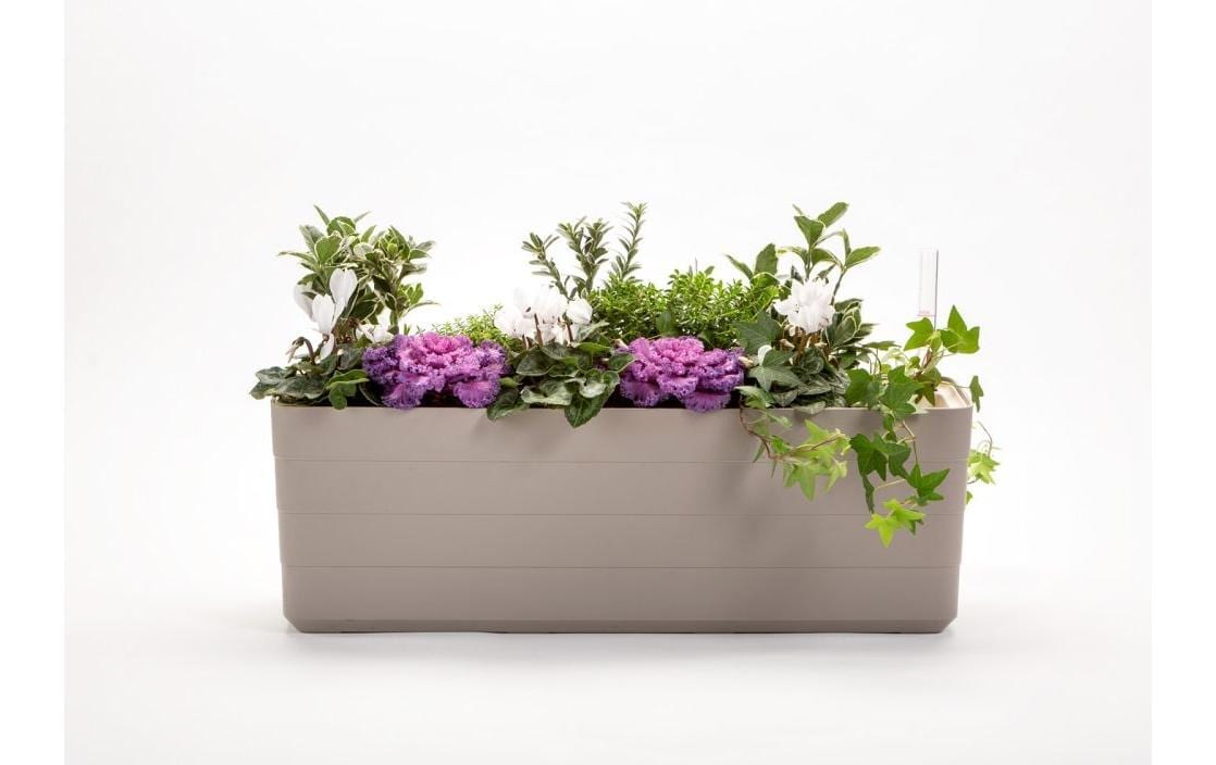   Bac à fleurs »Plastia Berberis 60 cm«