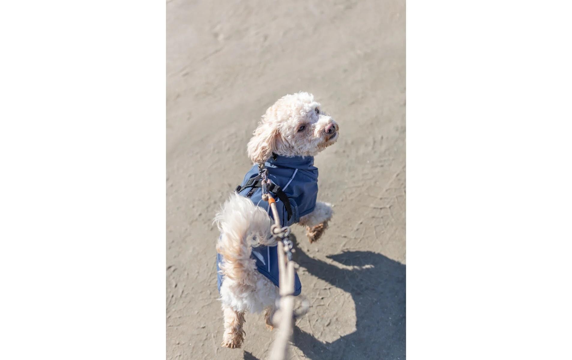 TRIXIE Imperméable pour chiens »Be Nordic Husum« polyester