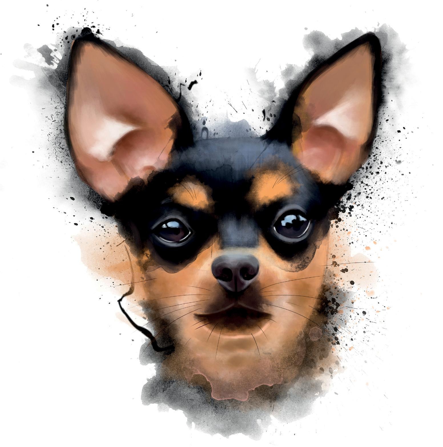 queence Coussin décoratif »Zwergpintscher« Kissenhülle ohne Füllung, 1 Stück