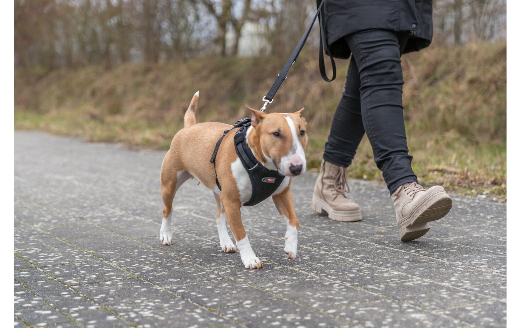 TRIXIE Hunde-Geschirr »Premium FlexMesh Geschir L« Mesh Geschirr mit spezellem Schnitt für kurze, kompakte Hunde