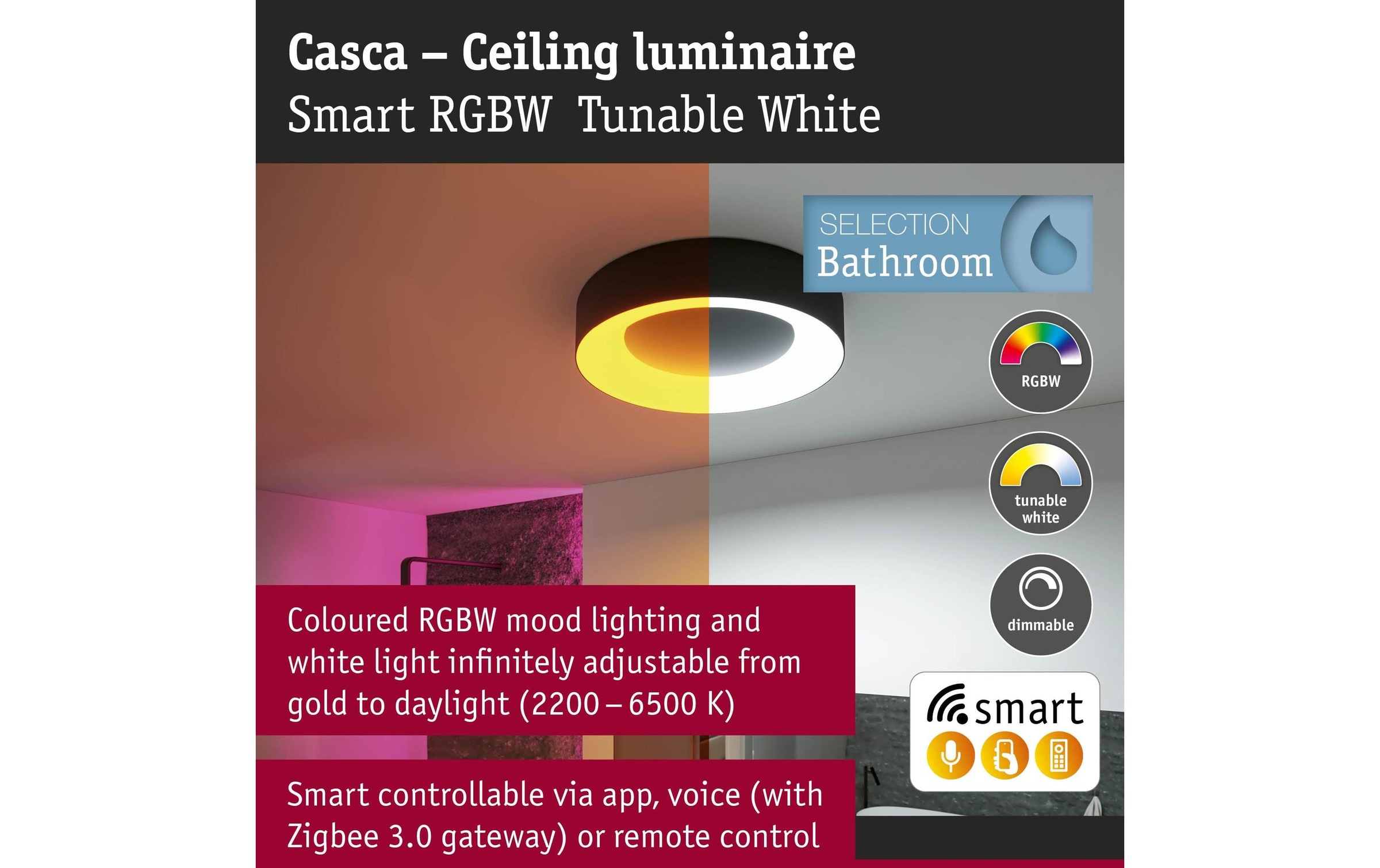 Paulmann Deckenleuchte »Casca« LED-Modul 1 Stk. Tageslichtweiss dimmbar