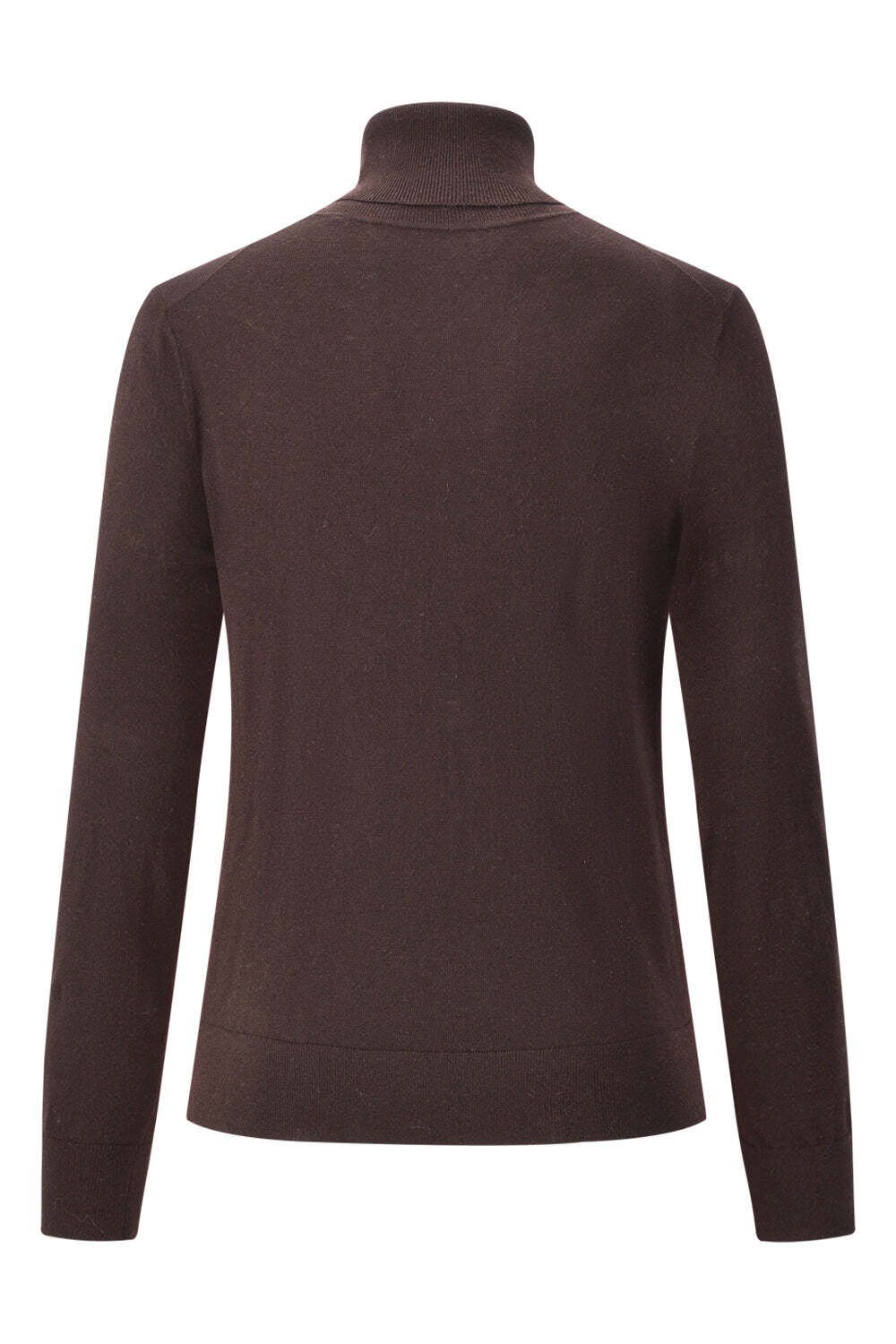 Atelier GARDEUR Rollkragenpullover »Atelier GARDEUR Rollkragenpullover PULLOVER1«