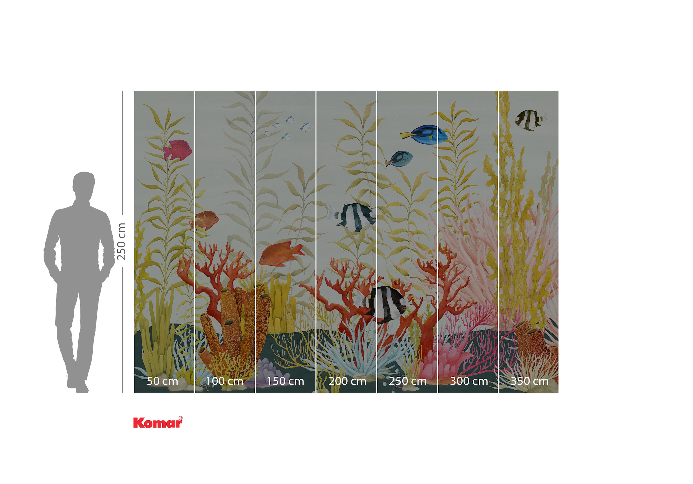 Komar Papier peint photo »Komar Vlies Fototapete - Coral World - Grösse 350 x 250 cm« imprimé