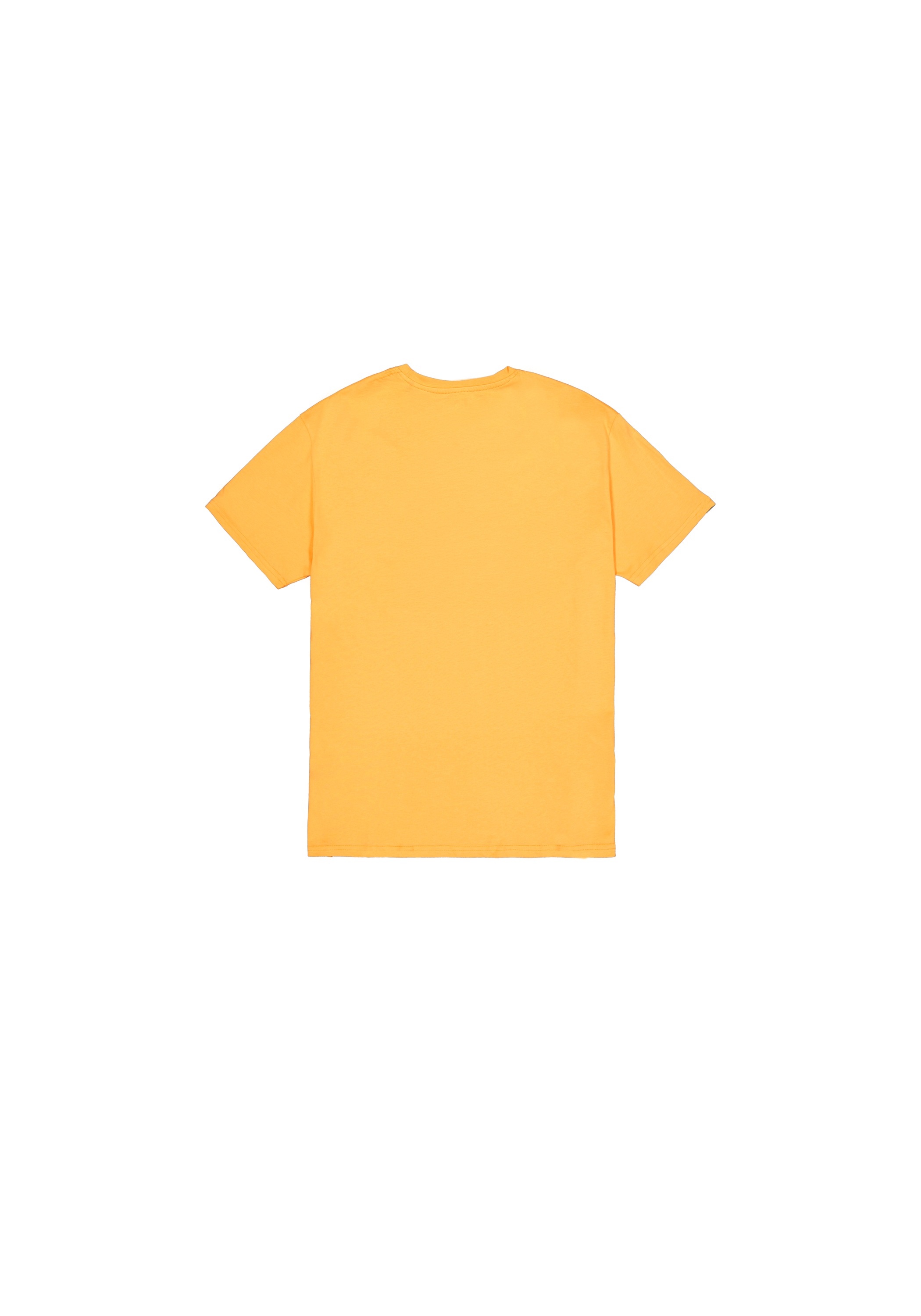 Alpha Industries T-shirt »Alpha Puff Print T-Shirt«
