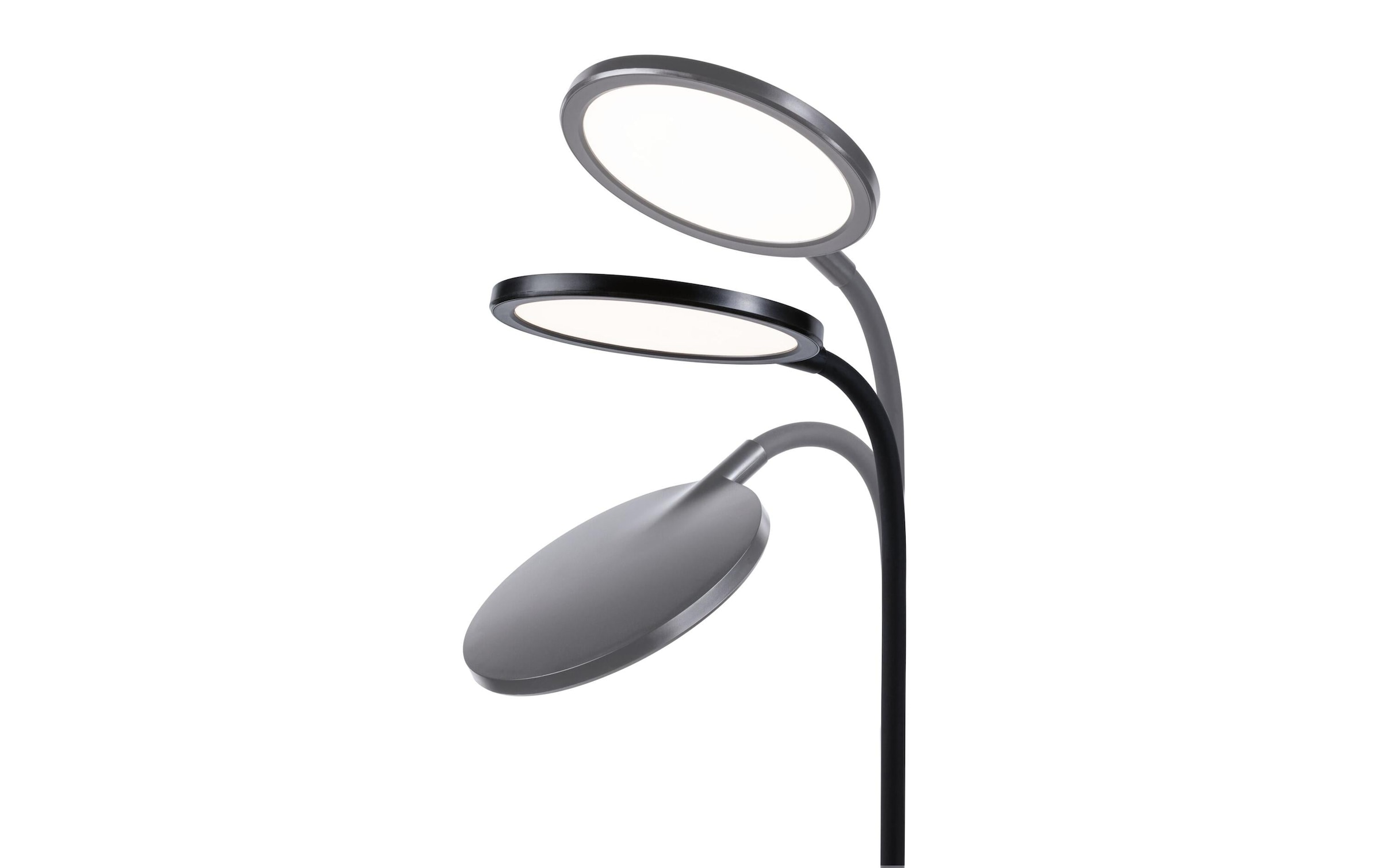 Paulmann LED Schreibtischlampe »Paulmann Schreibtischleuchte Schwarz, matt« LED-Modul warmweiss