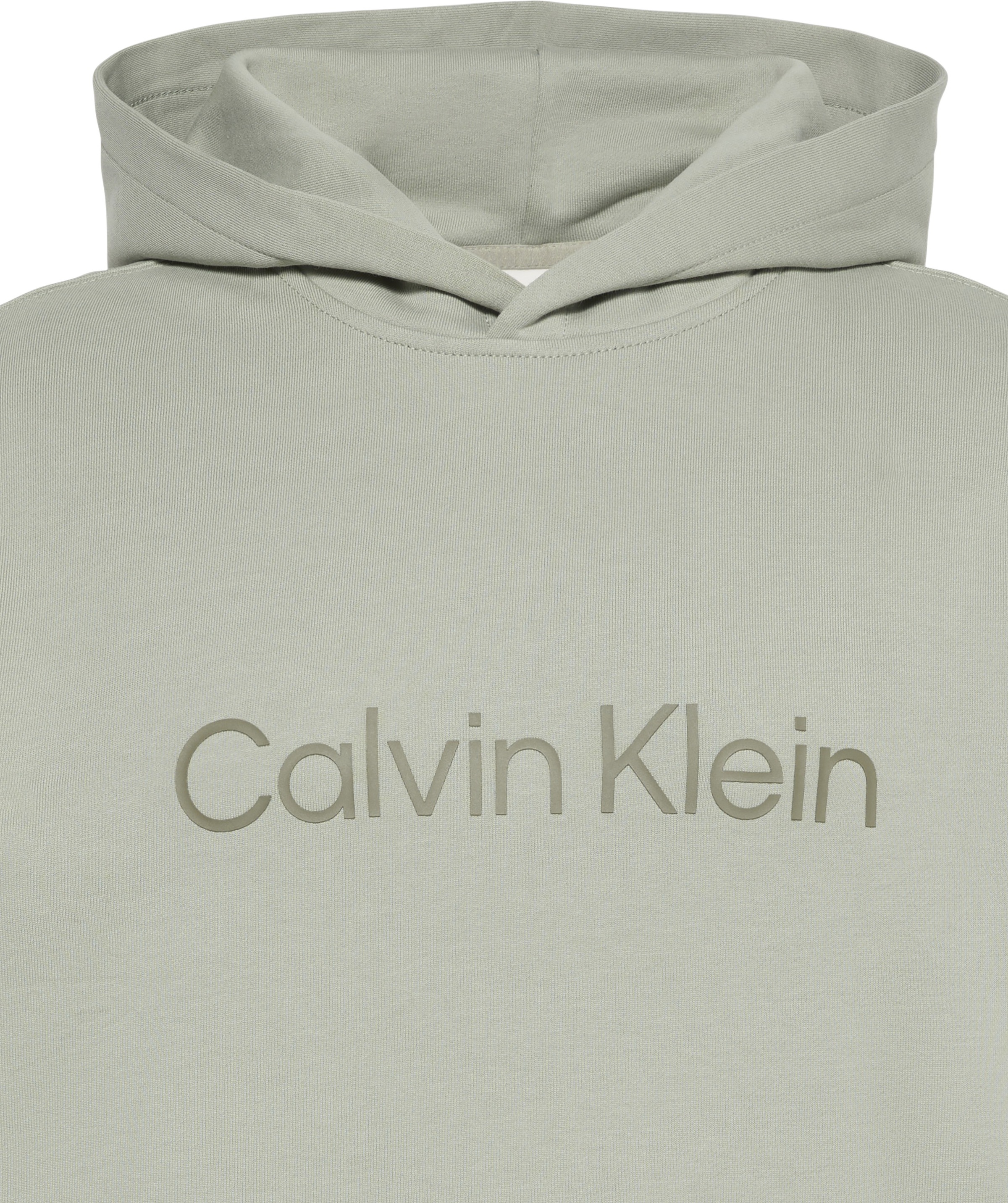 Calvin Klein Kapuzensweatshirt »LS EU STANDARD LOGO 350TERRY PO«, Mit Rundhalsausschnitt, regular fit
