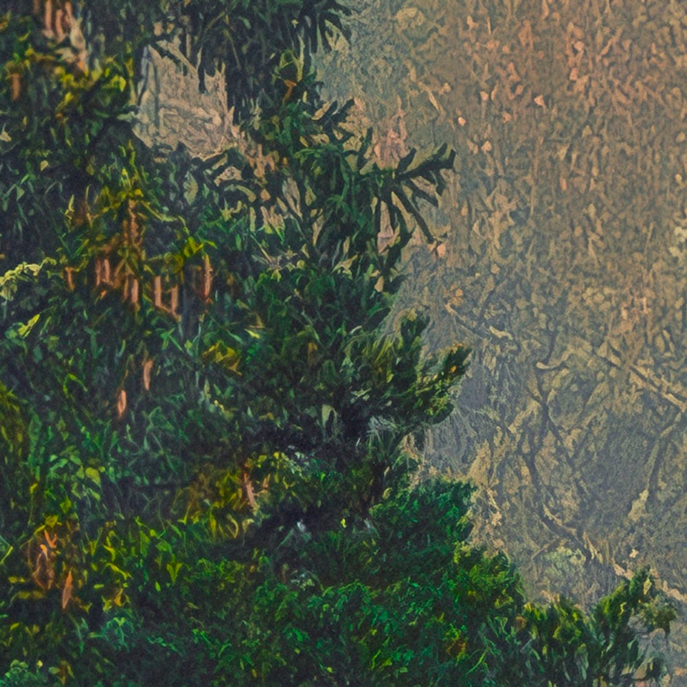 Komar Fototapete »Vlies Fototapete - Mystical Firs - Grösse 400 x 250 cm« Motiv | bedruckt glatt