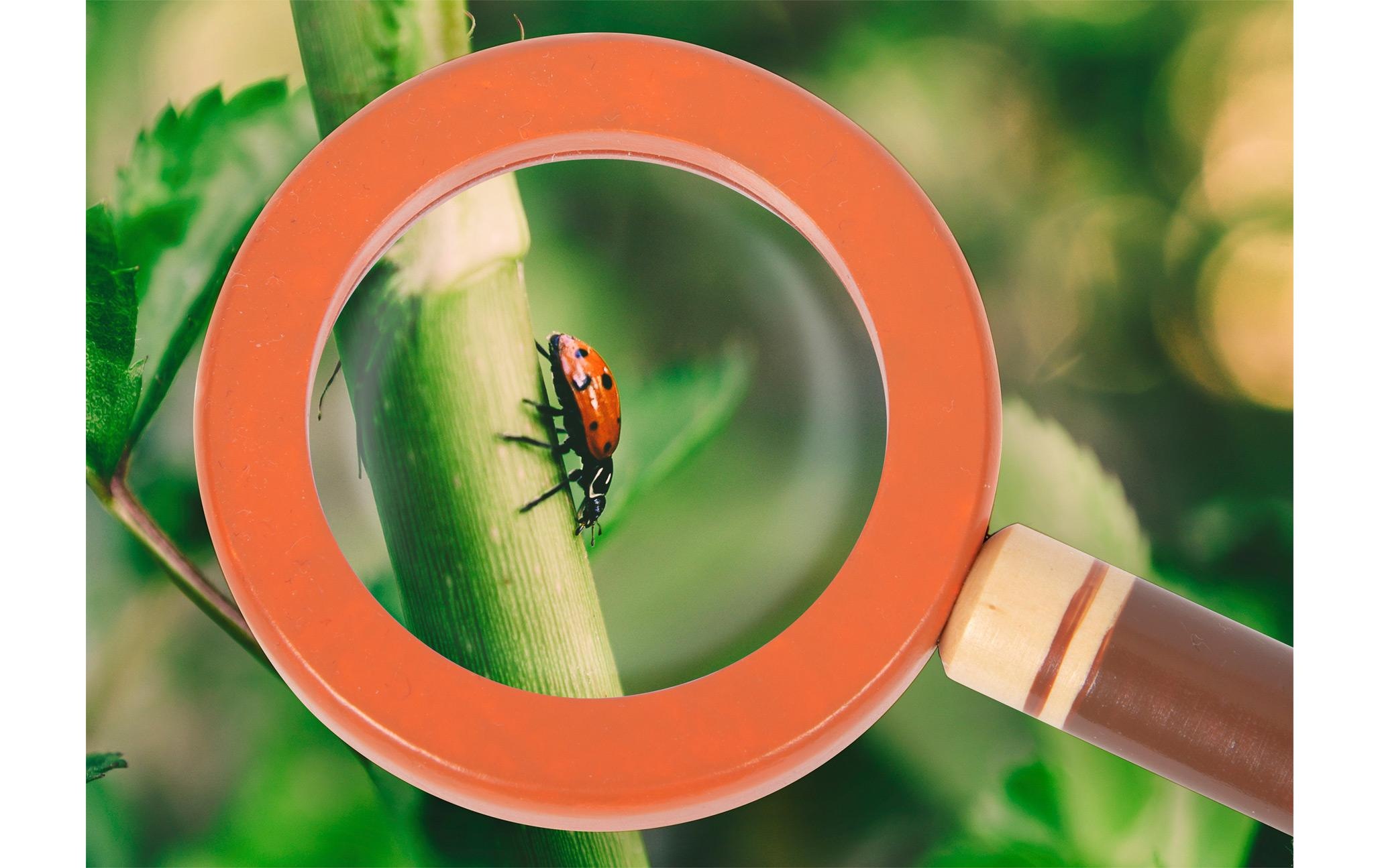 Small Foot Spielzeug-Gartenset »Discover«