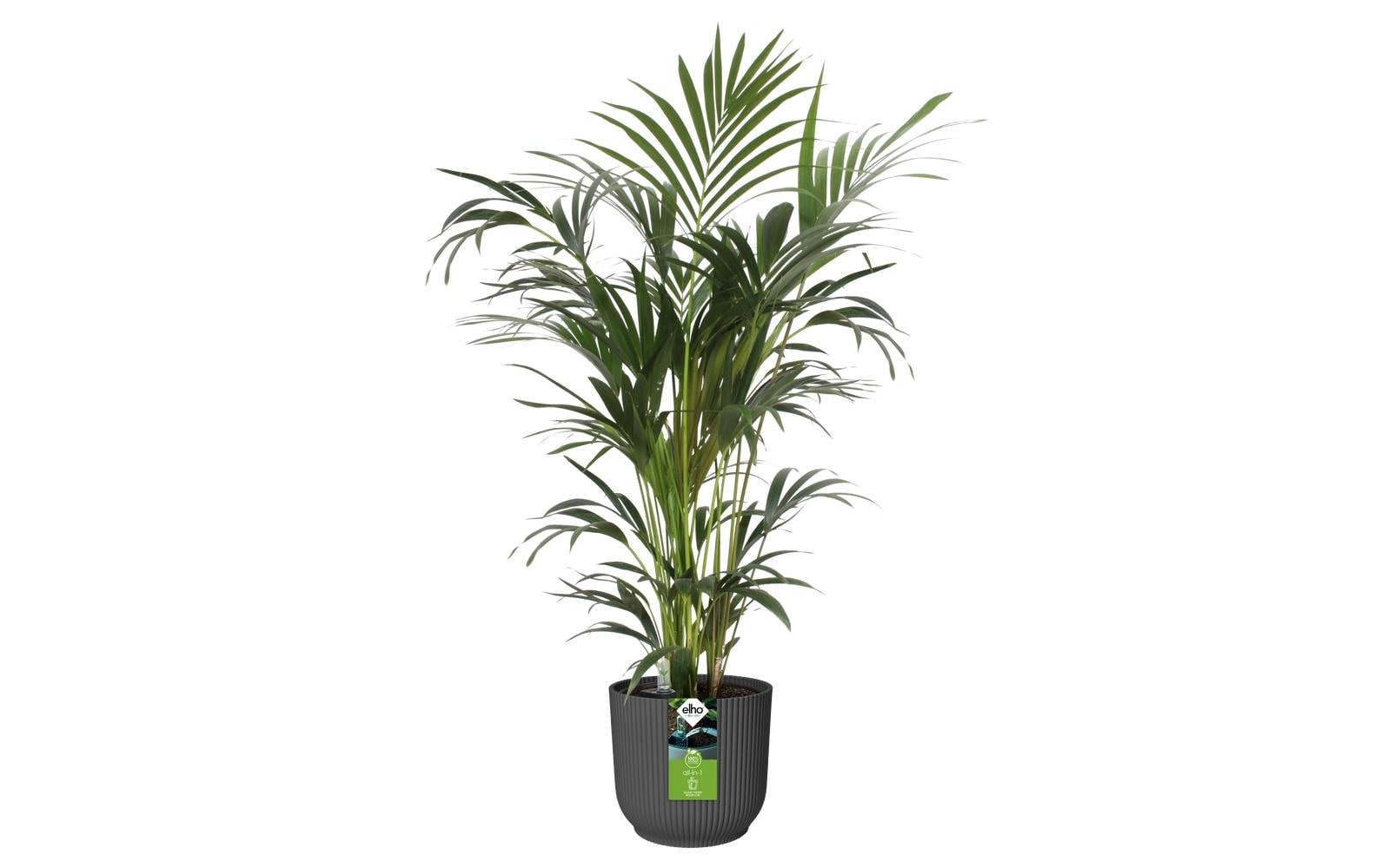 Elho Pot de fleurs »All-in-1 Vibes Rund«