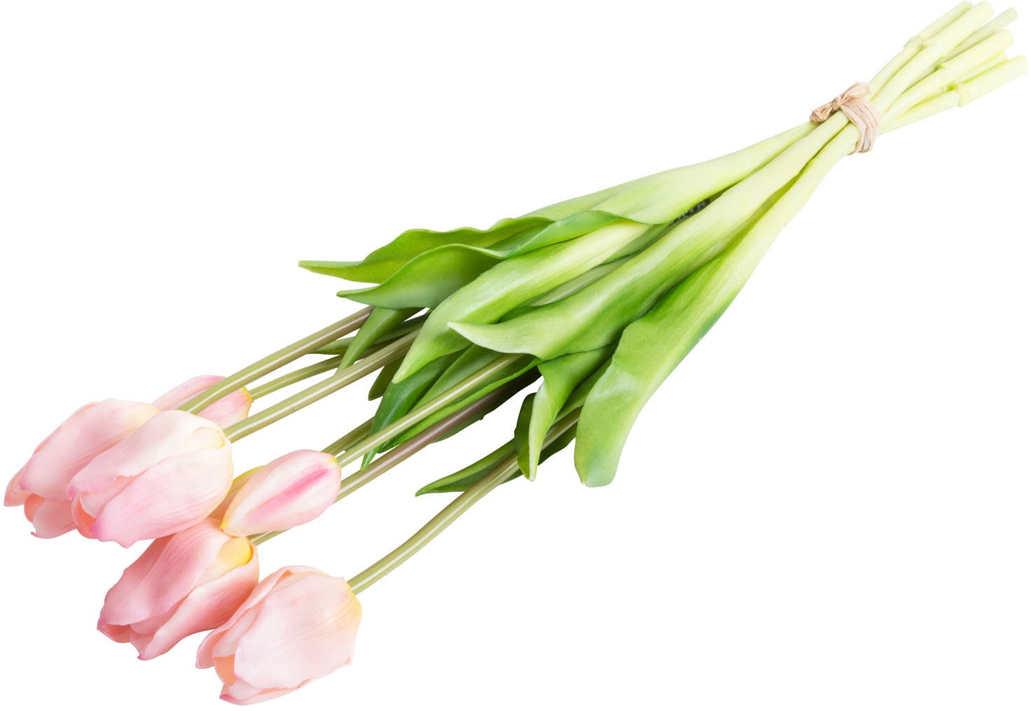 Botanic-Haus Fleur artificielle »Tulpenbündel«