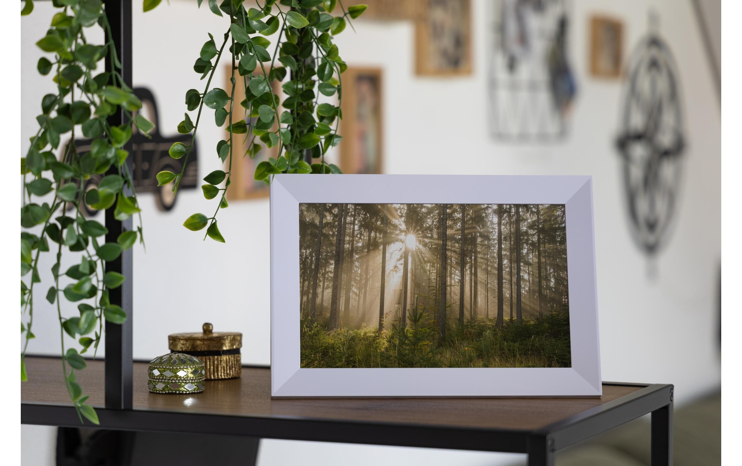 Cocon Digitaler Bilderrahmen 1280 x 800 px Pixel