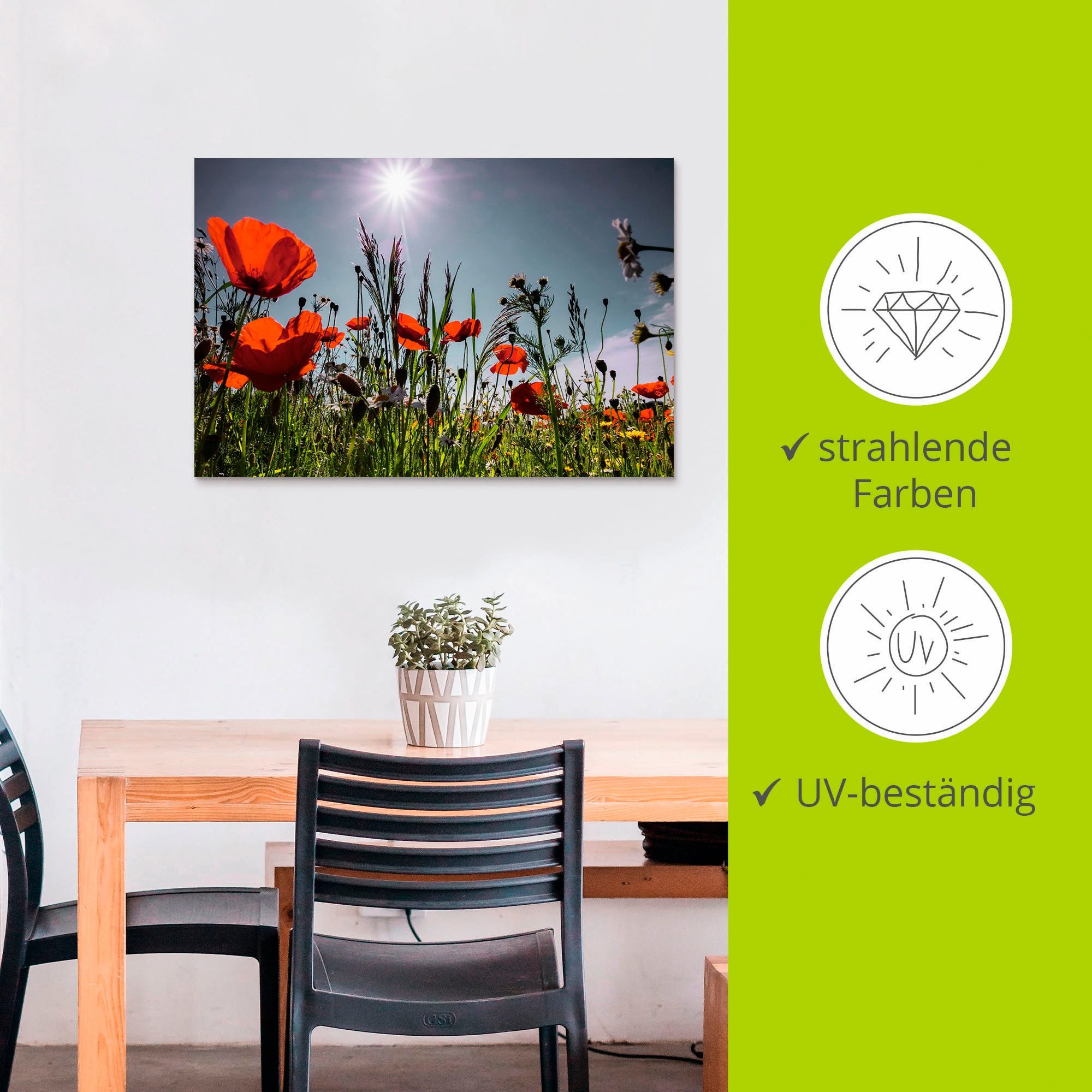 Artland Alu-Dibond-Druck »Mohnblumenwiese« Blumenwiese 1 Stk. tlg. für Innen- und Aussenbereich geeignet, Outdoorbild