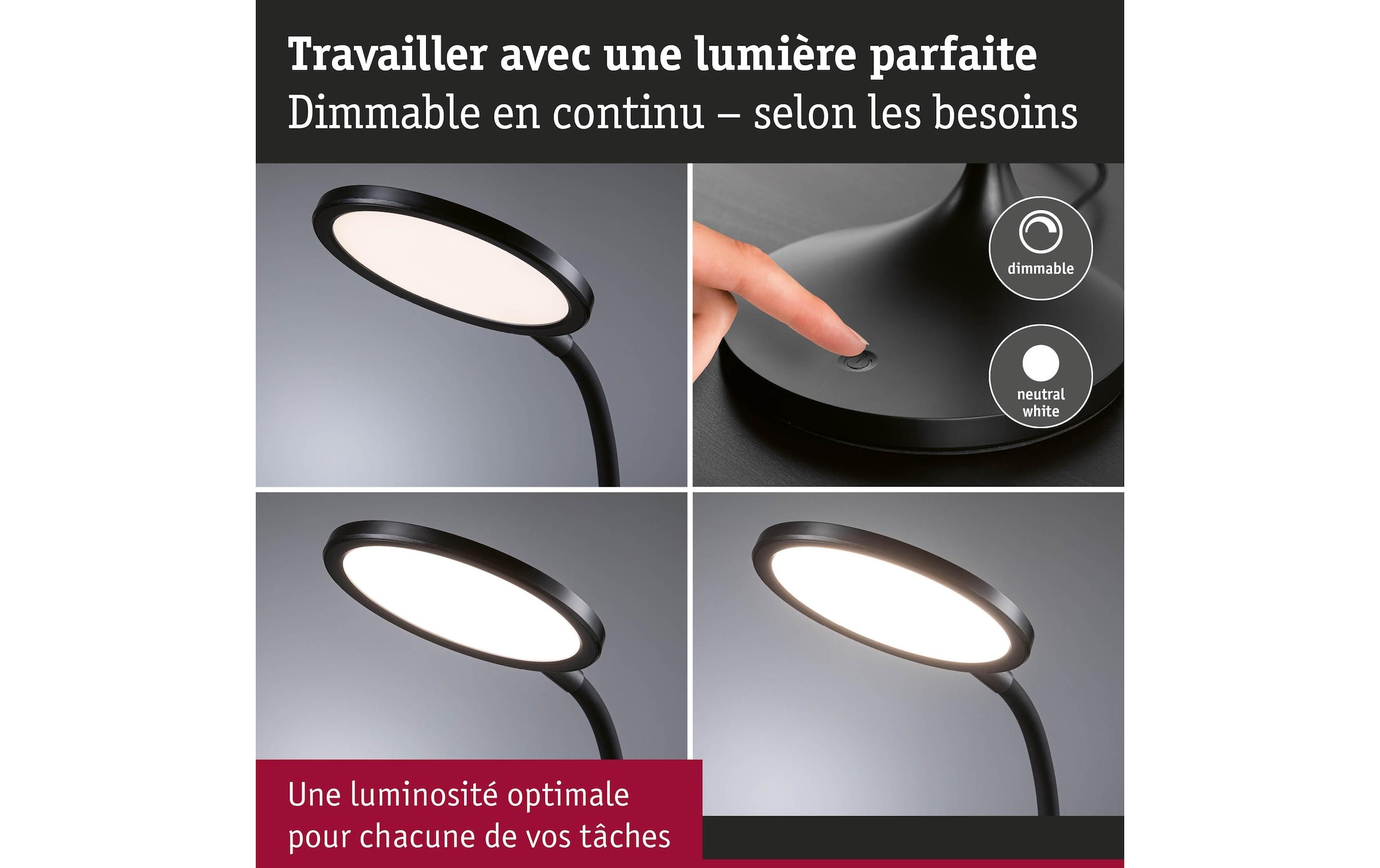 Paulmann LED Schreibtischlampe »Paulmann Schreibtischleuchte Schwarz, matt« LED-Modul warmweiss