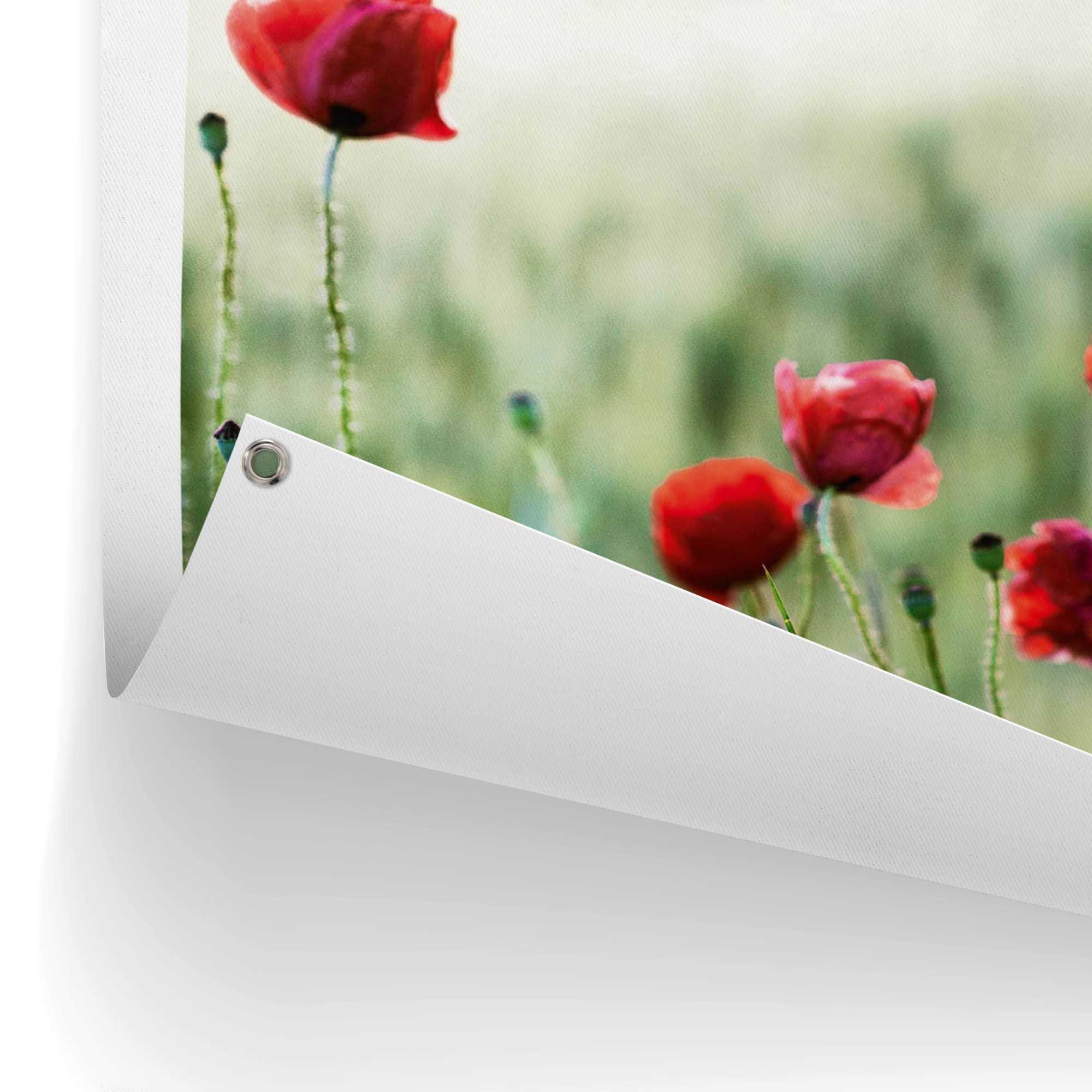 Reinders! Poster »Mohnblüten« Outdoor für Garten oder Balkon