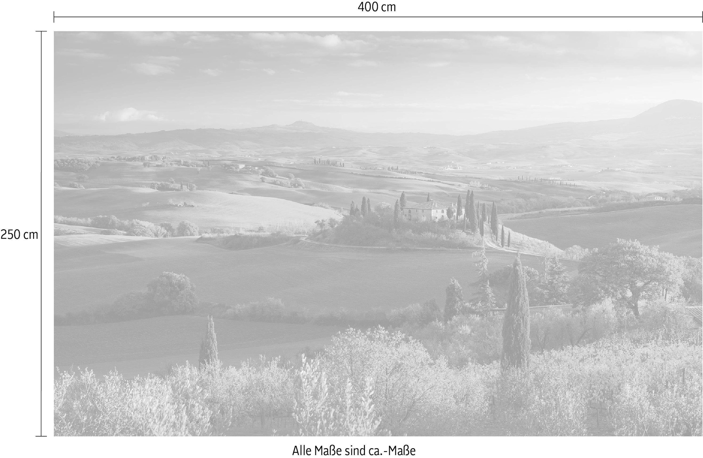 Komar Vliestapete »Digitaldruck Vlies -  Toskanagold - Grösse 400 x 250 cm« bedruckt glatt Wohnzimmer, Schlafzimmer