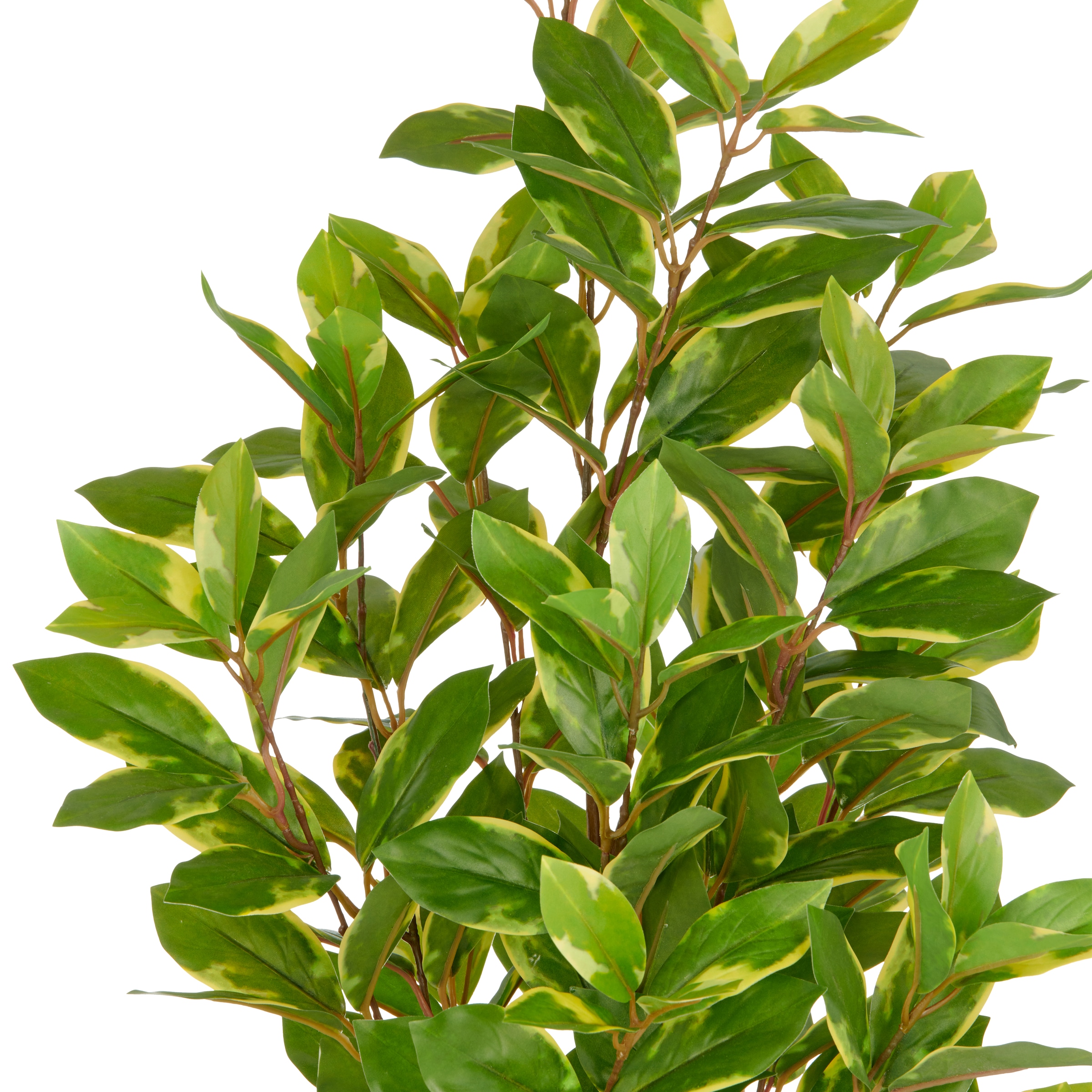 Creativ green Plante artificielle »Epipremnum aureum« mit schönem Blattwerk