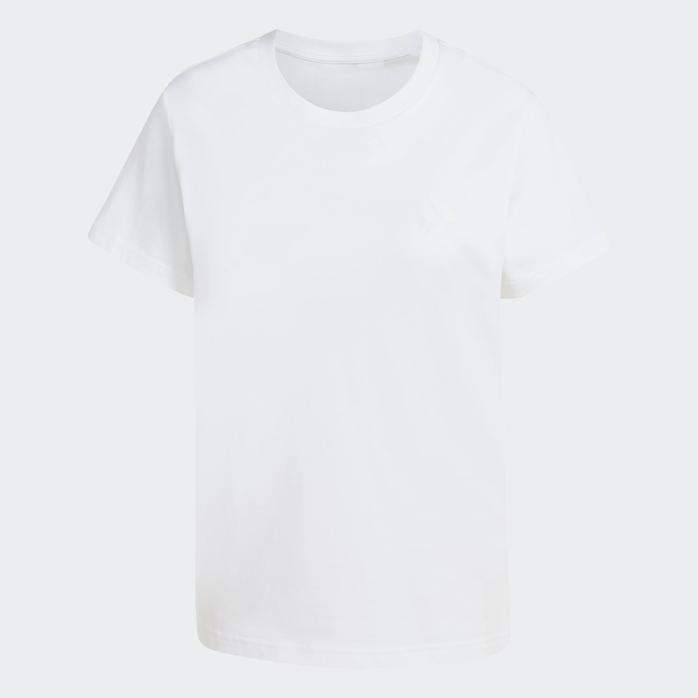 adidas TERREX T-shirt fonctionnel »MOUNTAIN GRAFIK«