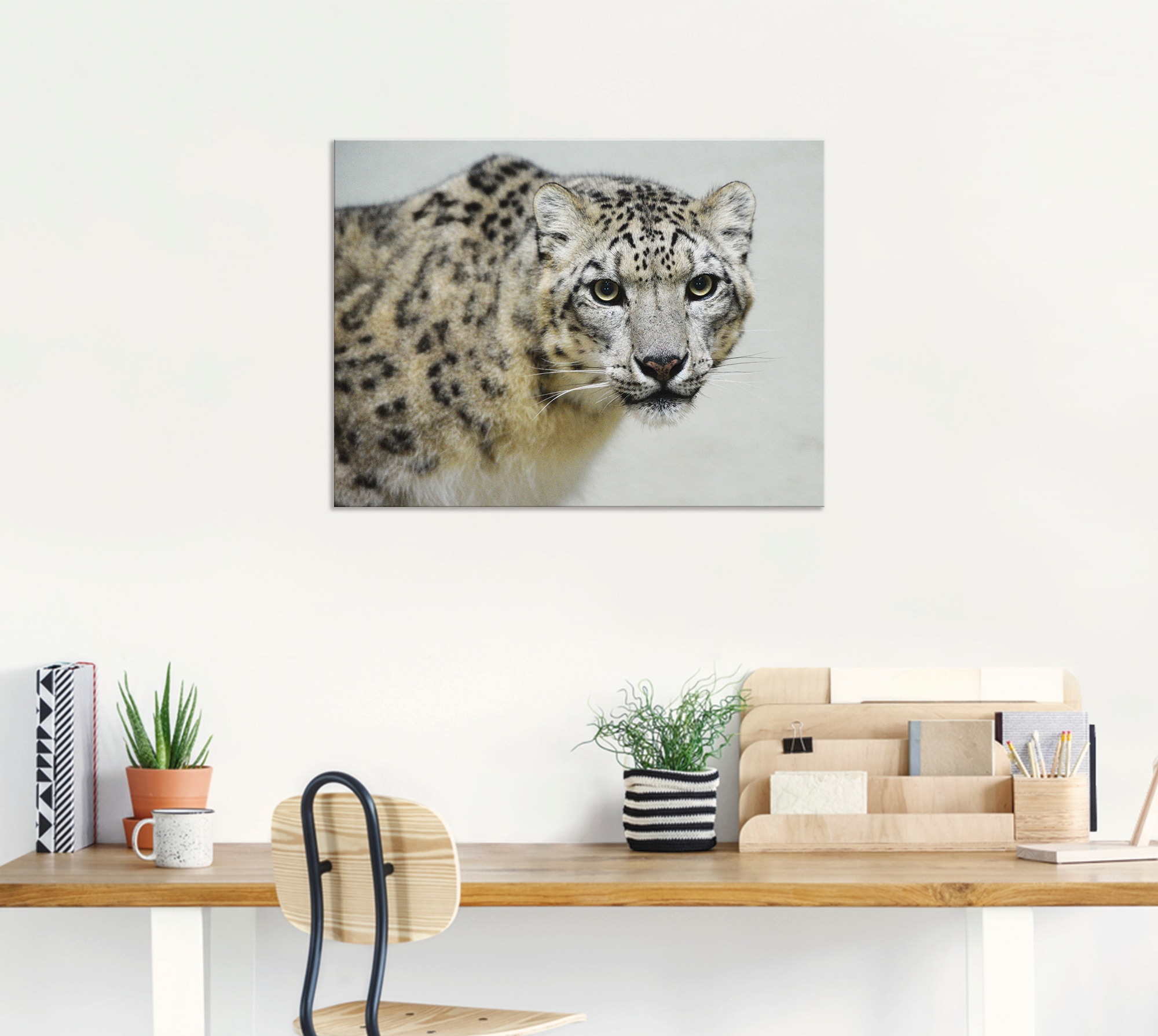 Artland Wandbild »Schneeleopard« Wildtiere 1 Stk. tlg. als Alubild, Leinwandbild in verschied. Grössen