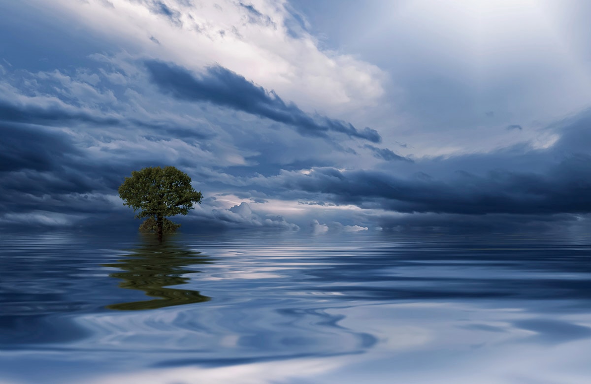Papermoon Fototapete »MEER WOLKEN-BAUM BEACH STRAND PANORAMA HIMMEL WELLEN«