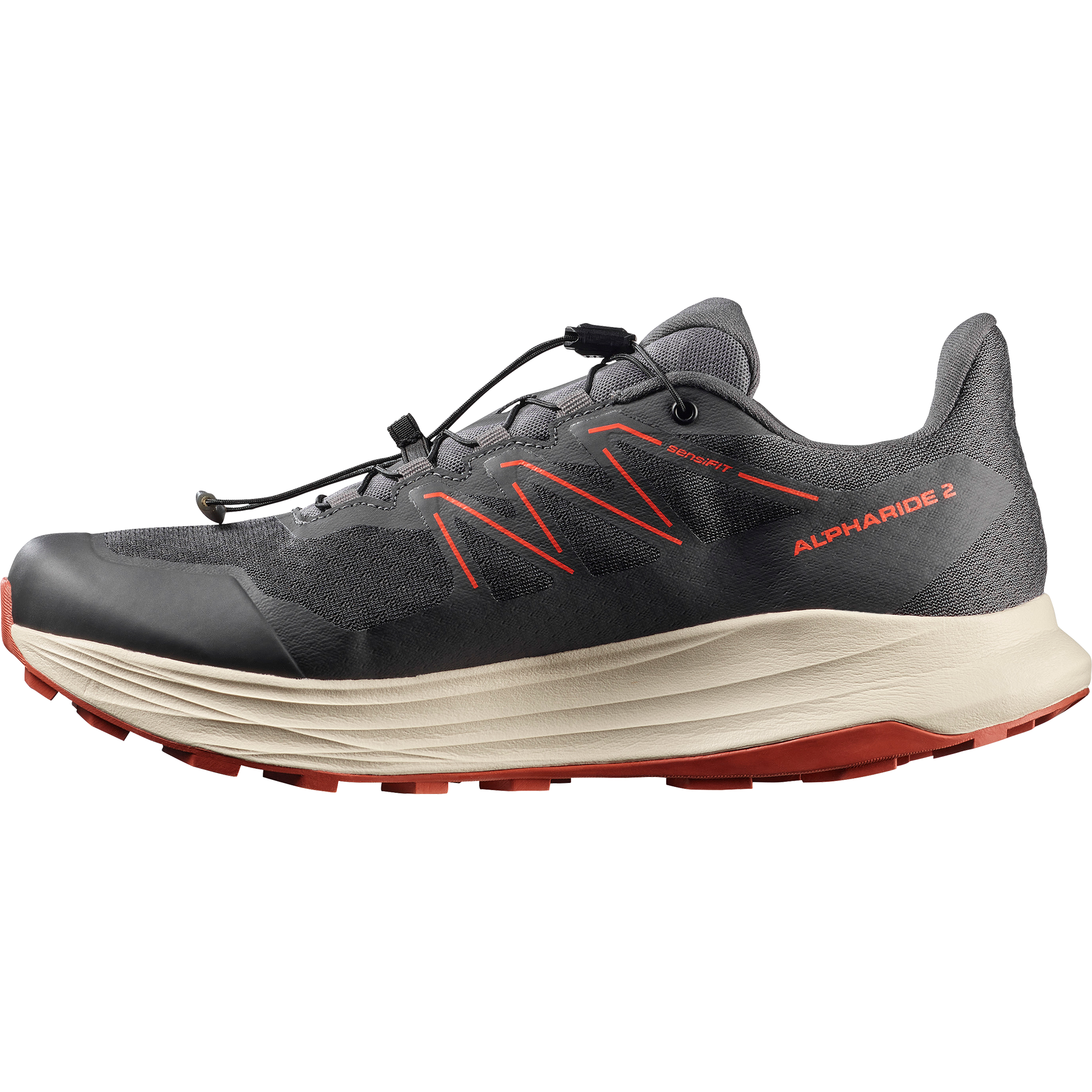 Salomon Trailrunningschuh »ALPHARIDE 2 GORE-TEX«  wasserdicht