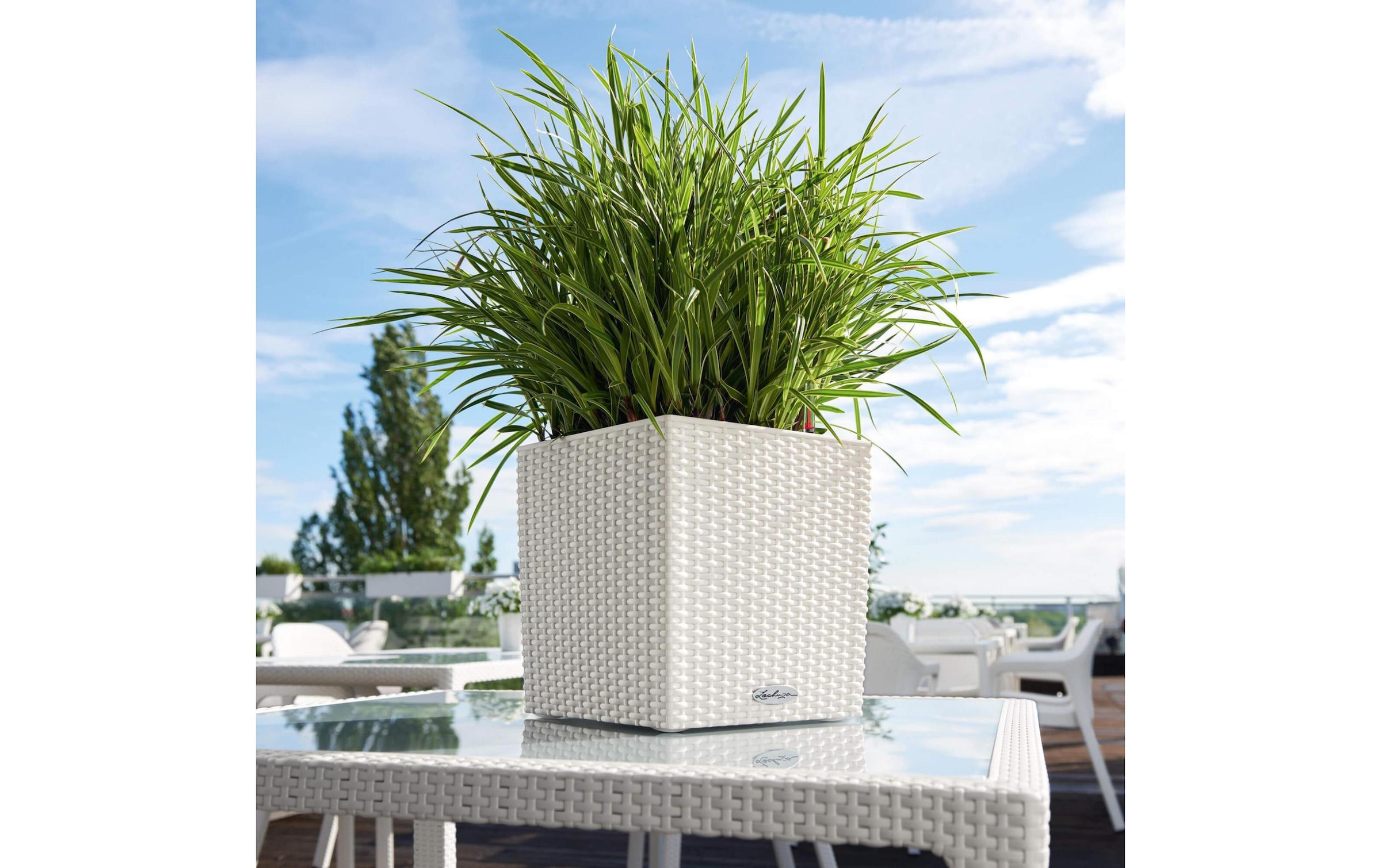   Blumentopf »Lechuza Cube Cottage 30 Weiss«