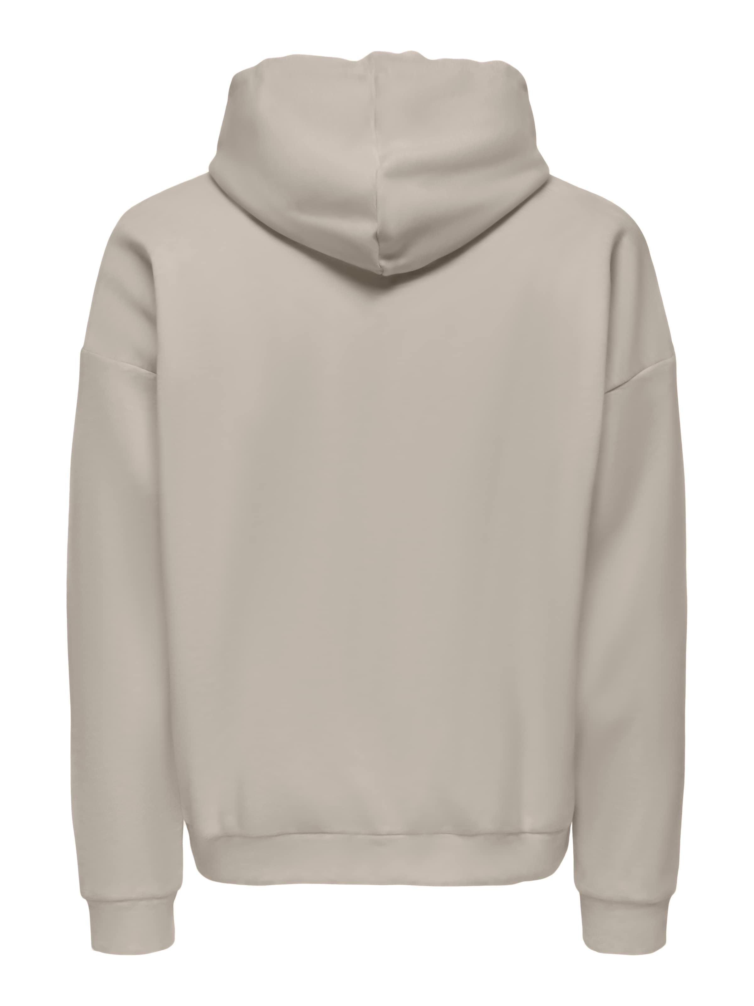 ONLY & SONS Sweat à capuche »ONSCHASE REG ZIP HOOD OTL«
