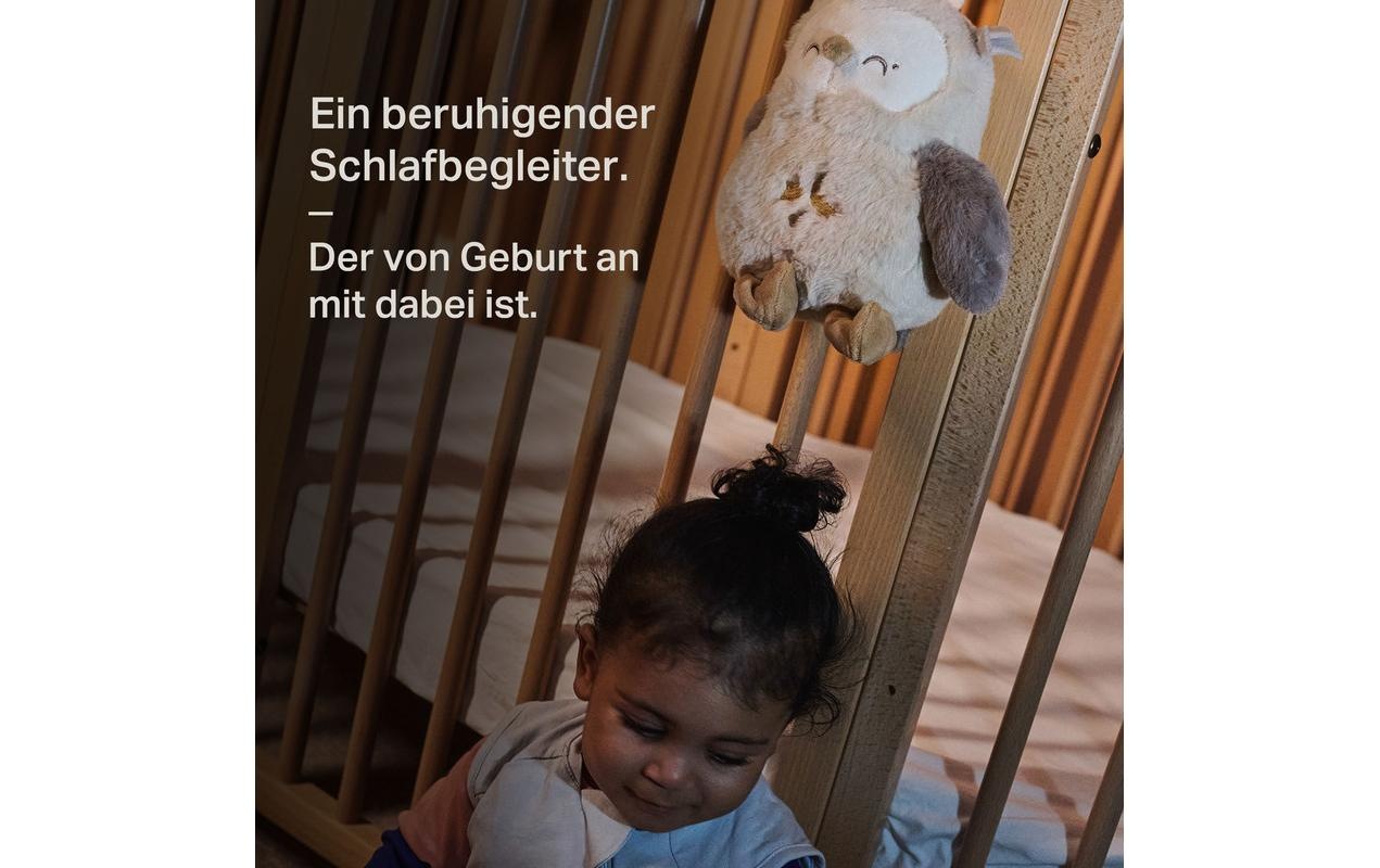 Tommee Tippee Spieluhr »Tippee Einschlafhilfe Eule«