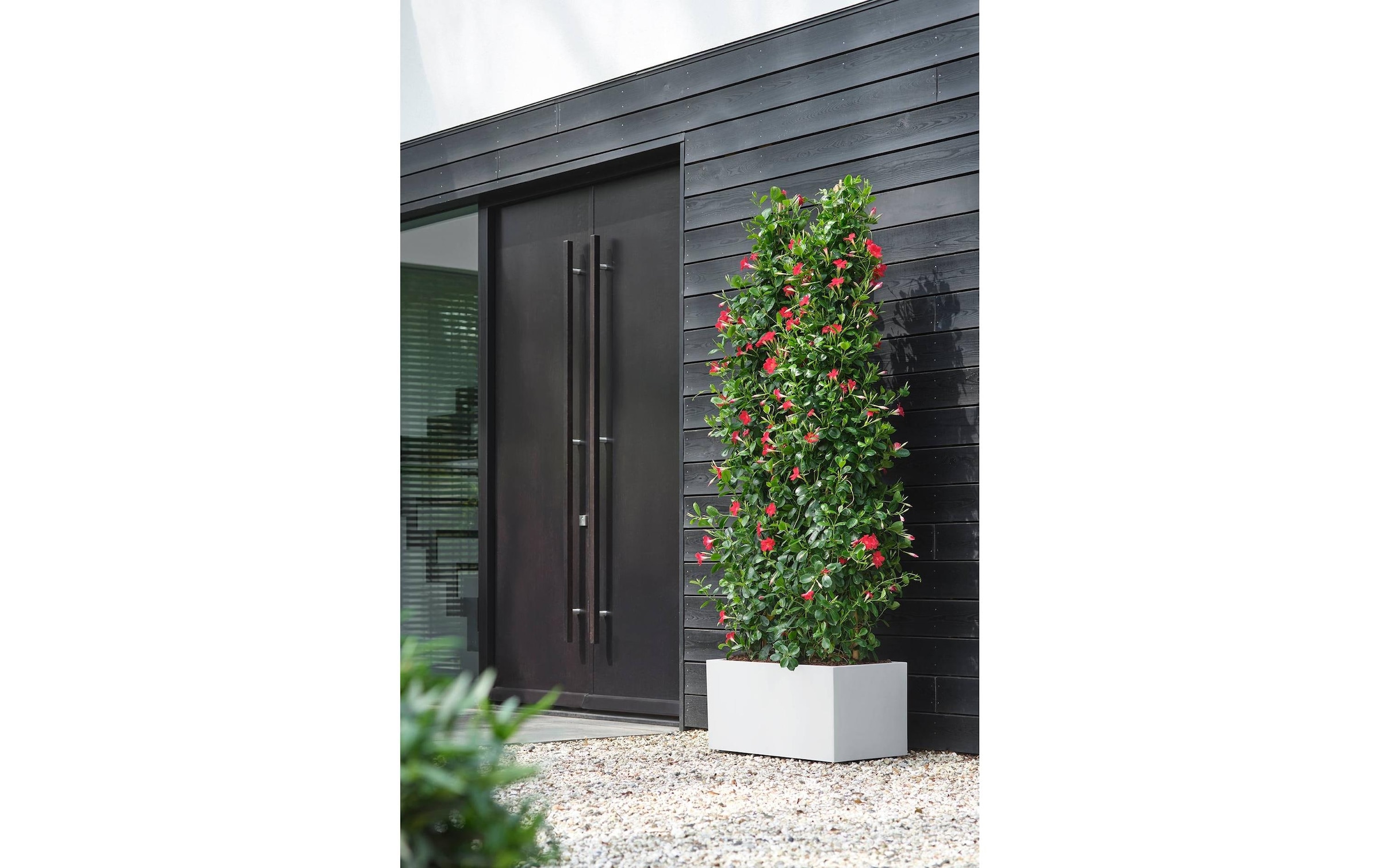 Elho Pot de fleurs »Vivo Next Lang 60 cm«