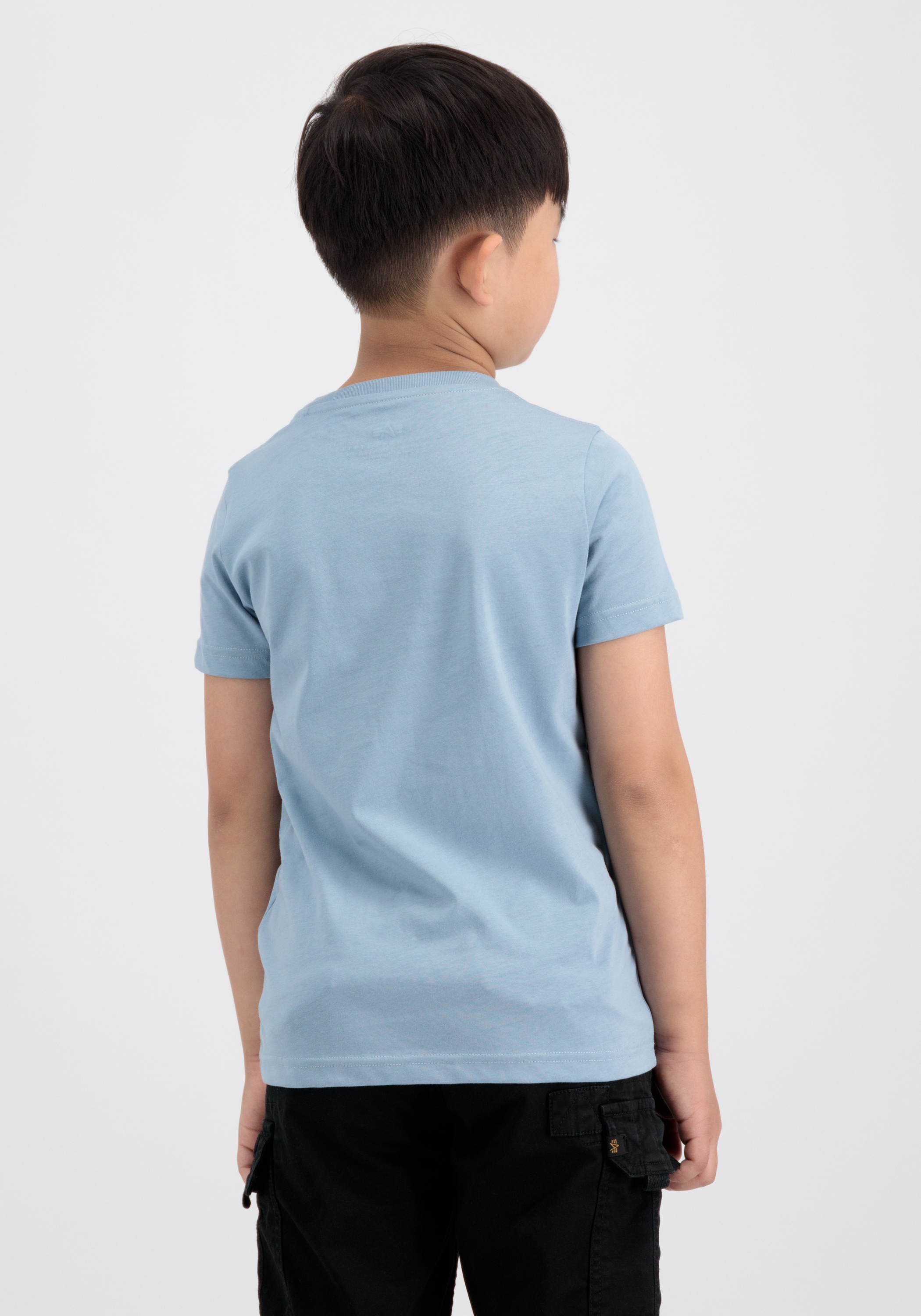 Alpha Industries T-Shirt »Basic T-Shirt BL K«