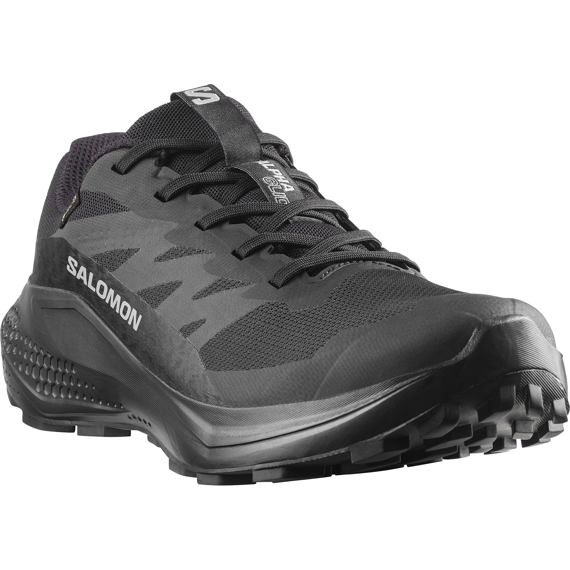 Salomon Chaussures de trail »ALPHAGLIDE GTX W«  étanche